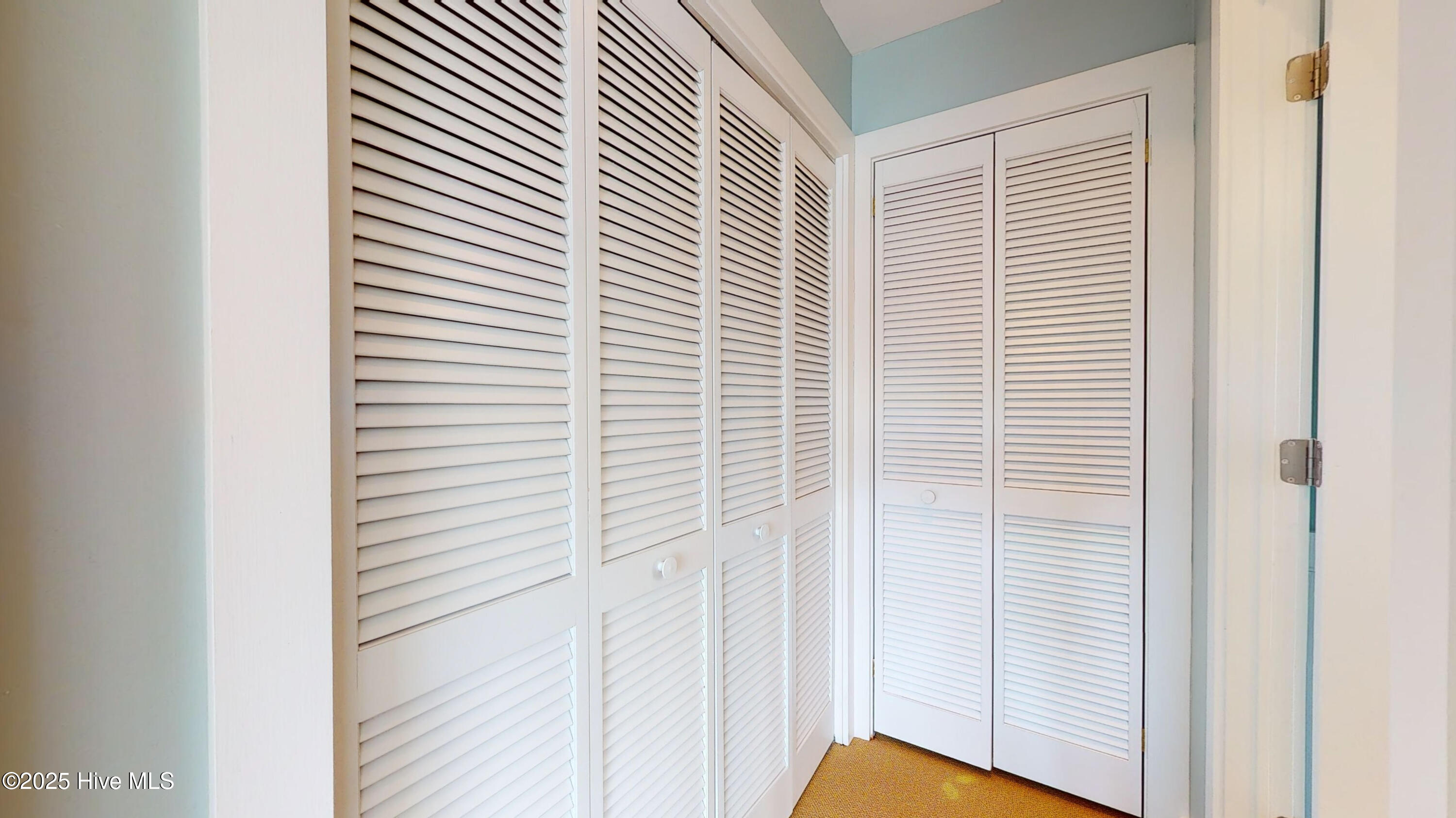 100532230 | Photo 30