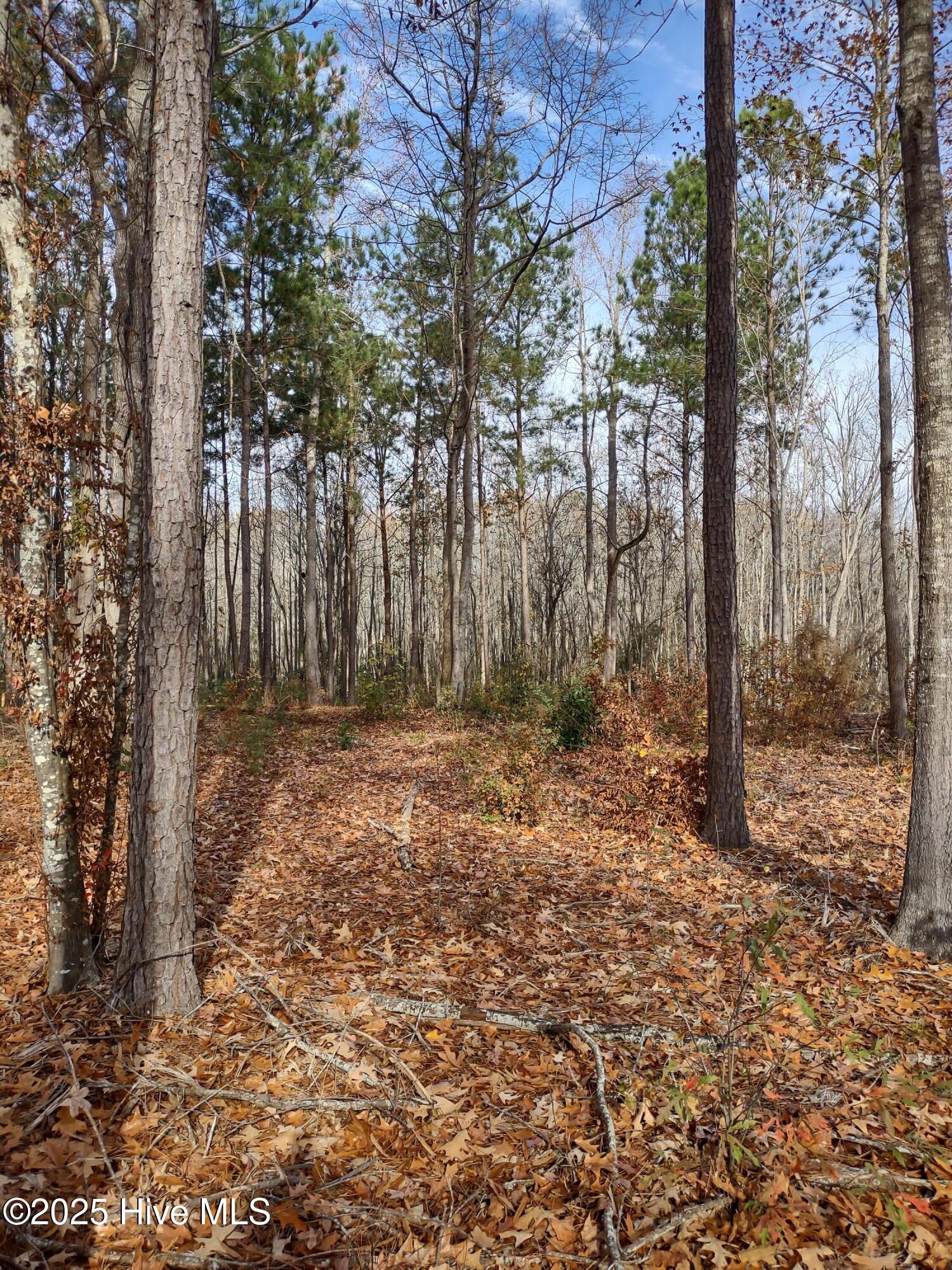 Homes for sale in Moyock, NC | 1671 Caratoke Hwy, Moyock, NC 27958 | MLS# 100543859