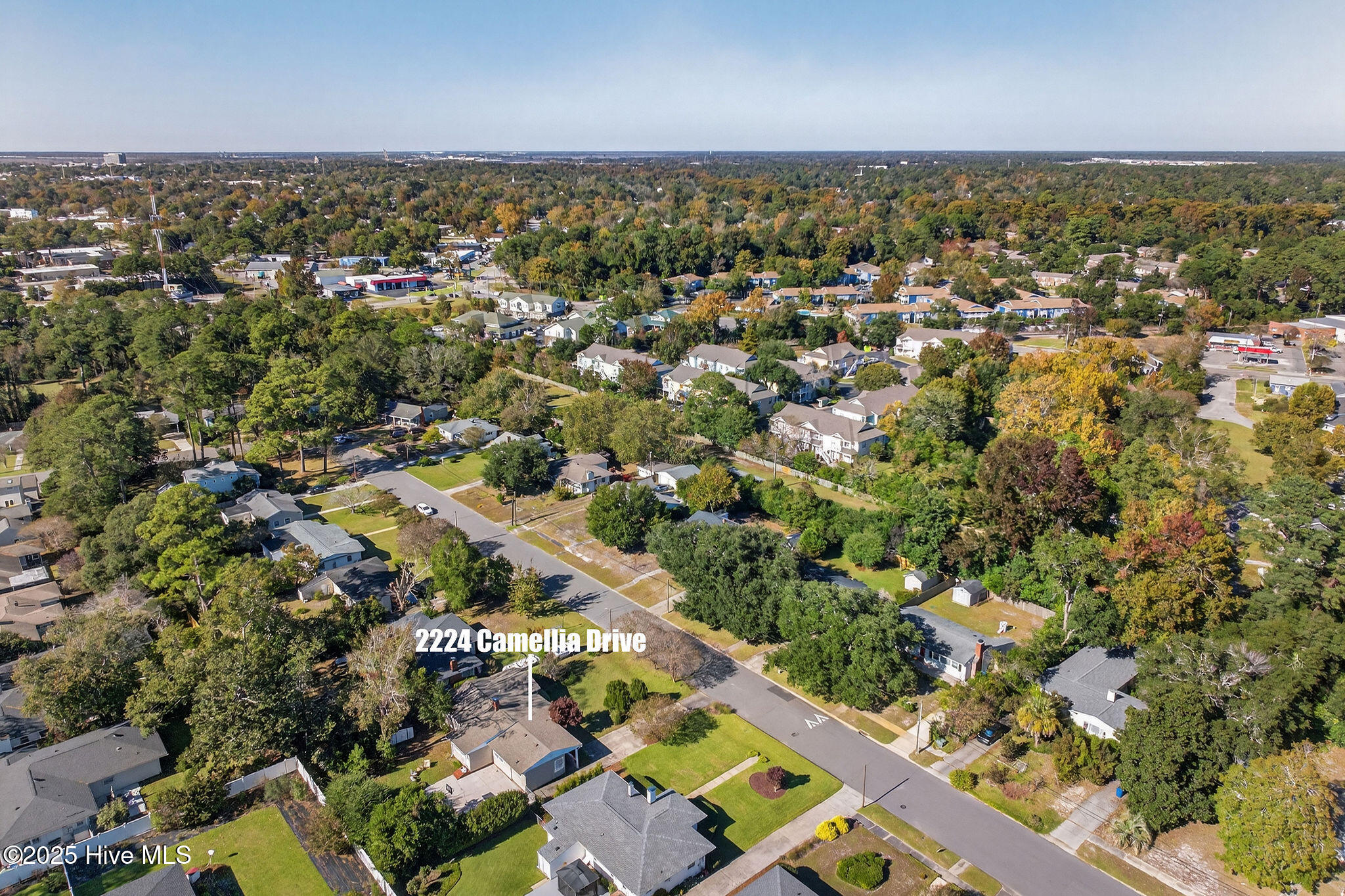 100539754 | Photo 40