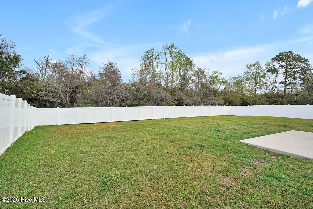 100565094 | Photo 37