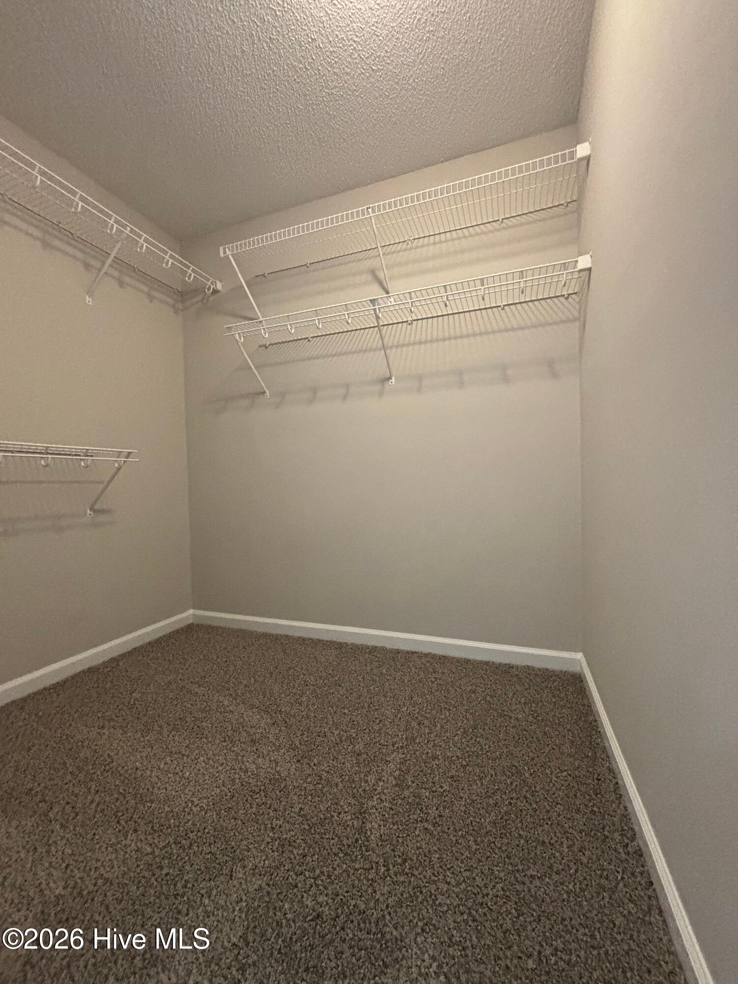 100552986 | Photo 20