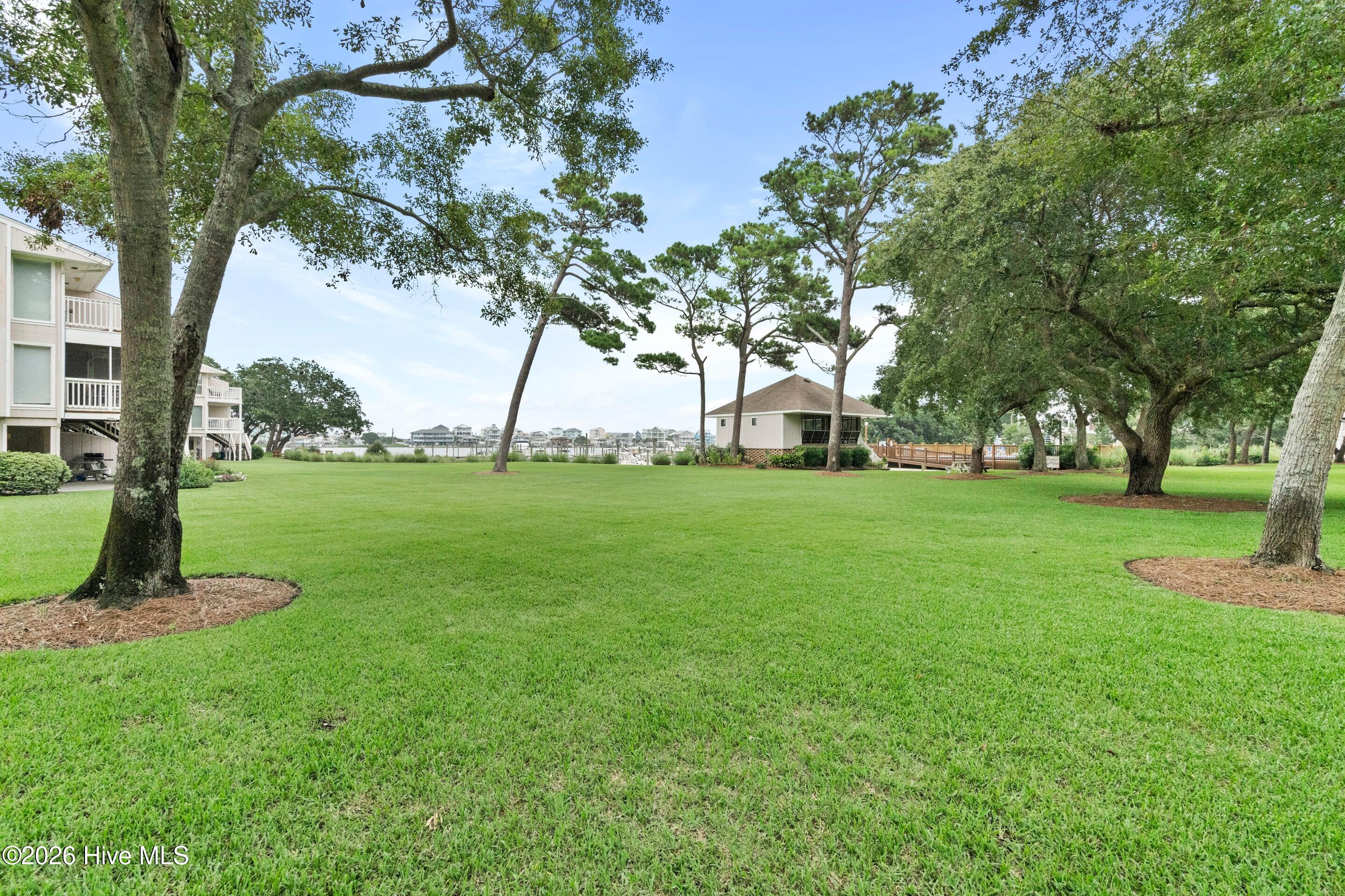 100554441 | Photo 23