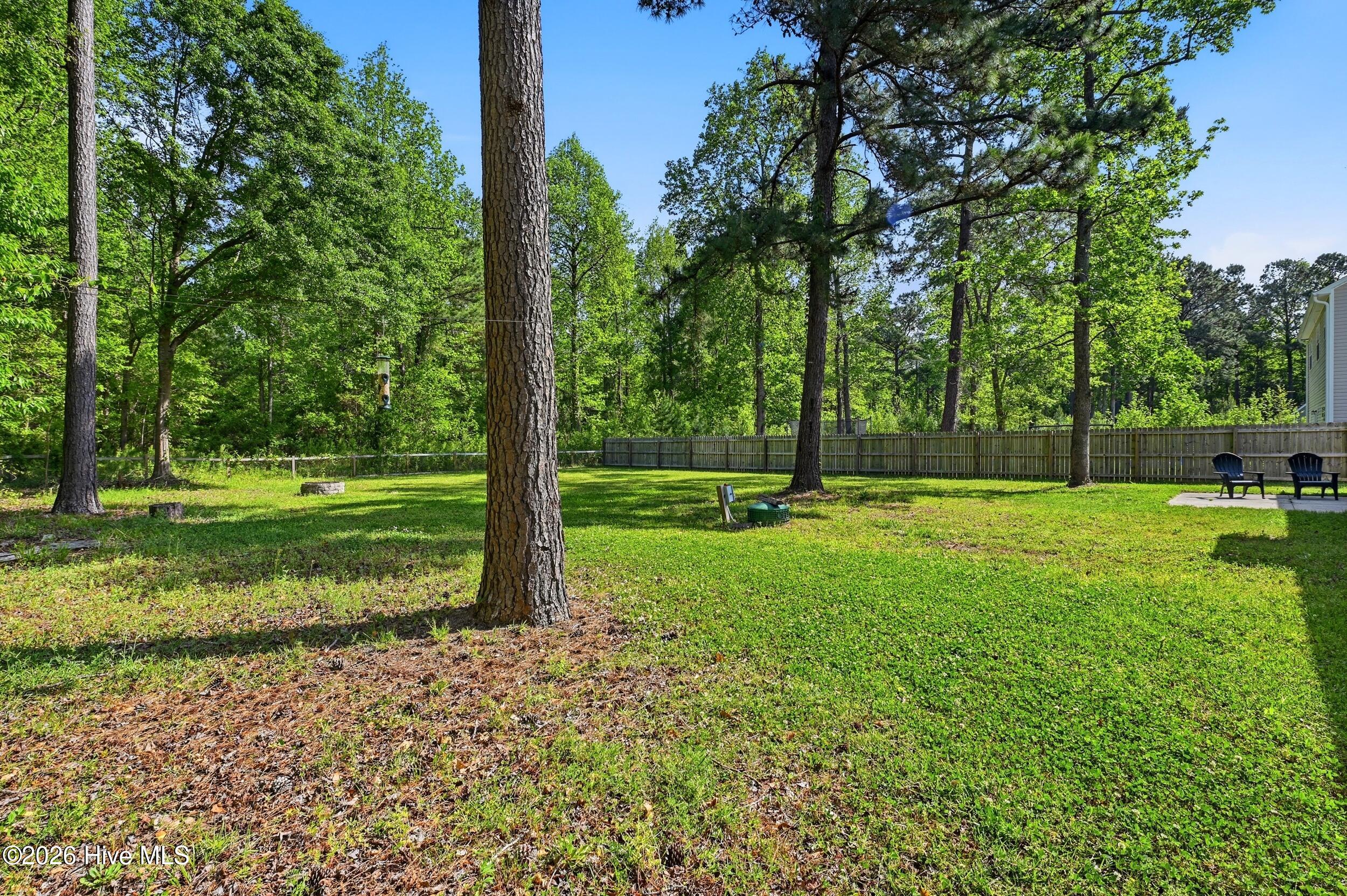 100568346 | Photo 34