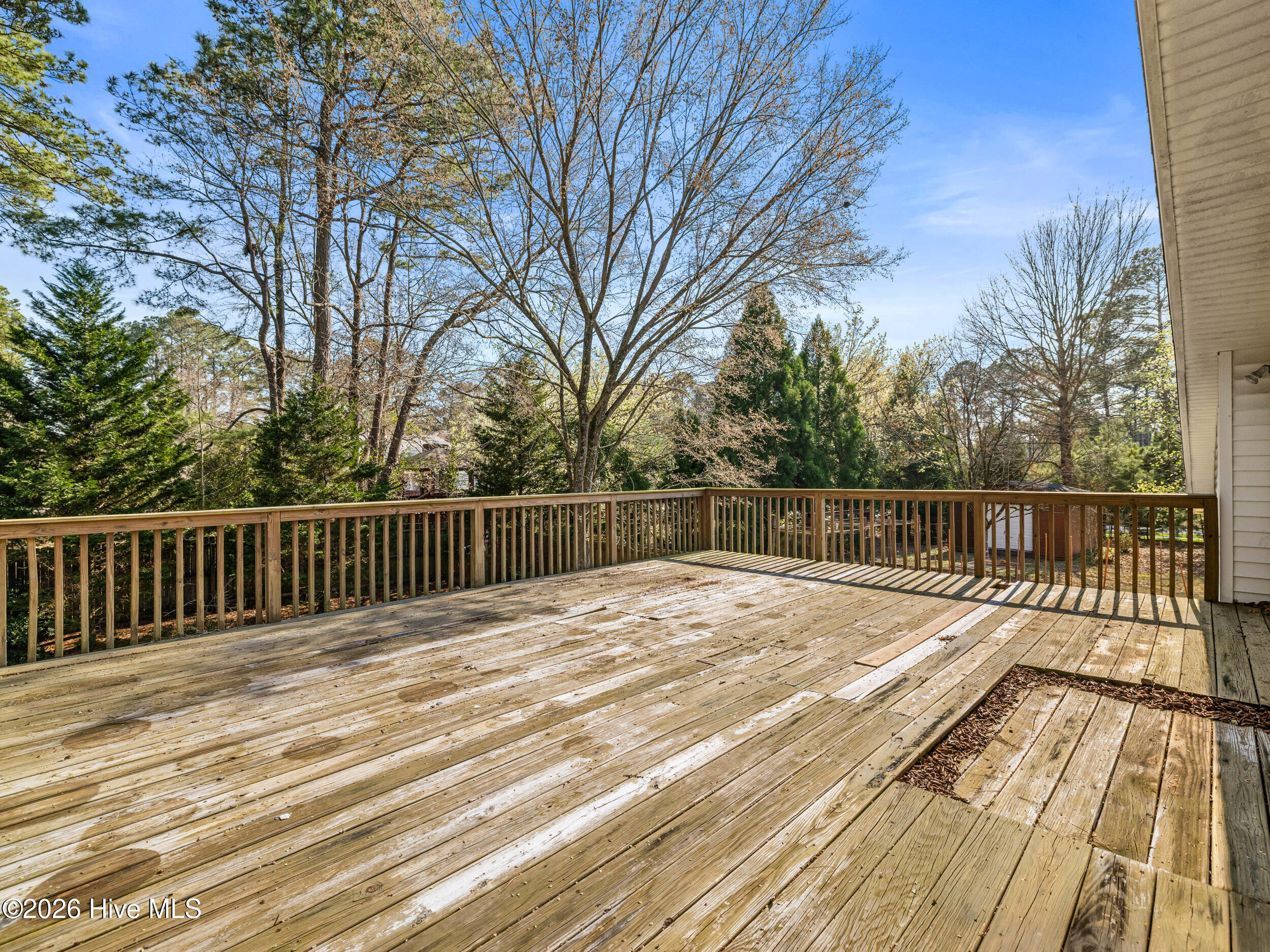 100561743 | Photo 41