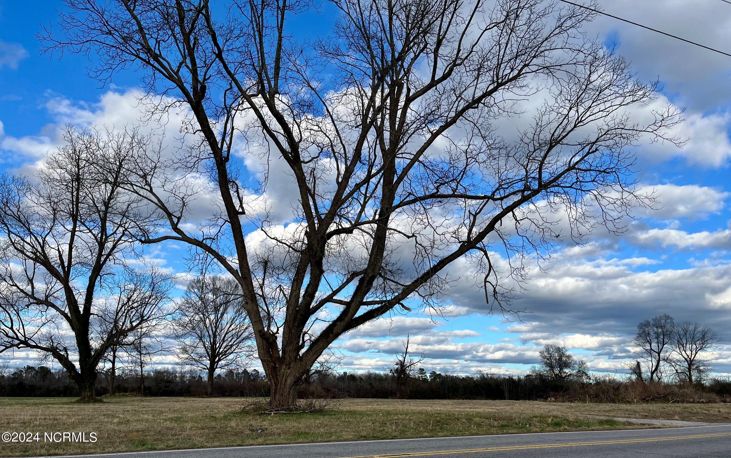 1500 Old Lumberton Road, Whiteville, NC, 28472