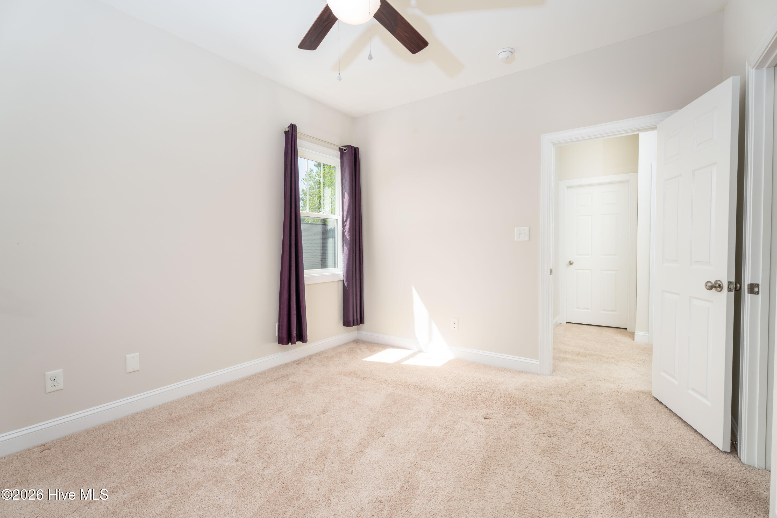 100569563 | Photo 16