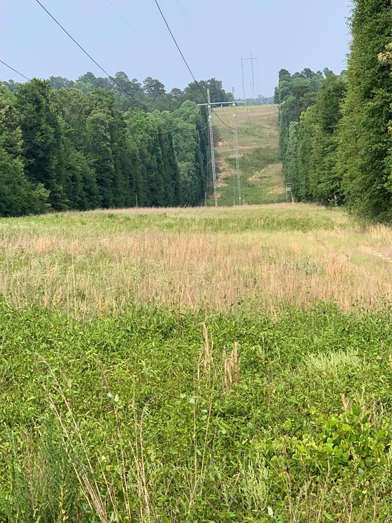 3261 Highway 102 E, Gibson, GA 30810 Listing Photo  2