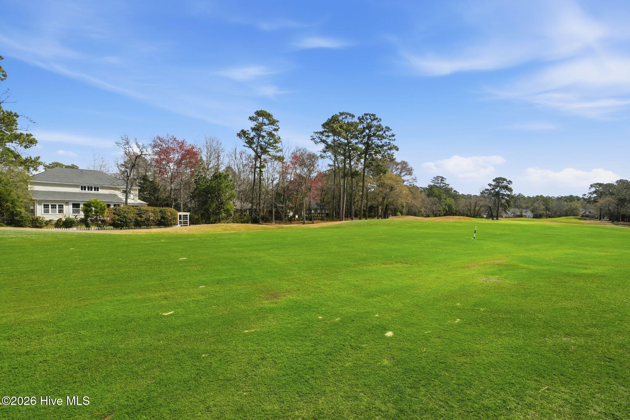 100560935 | Photo 93