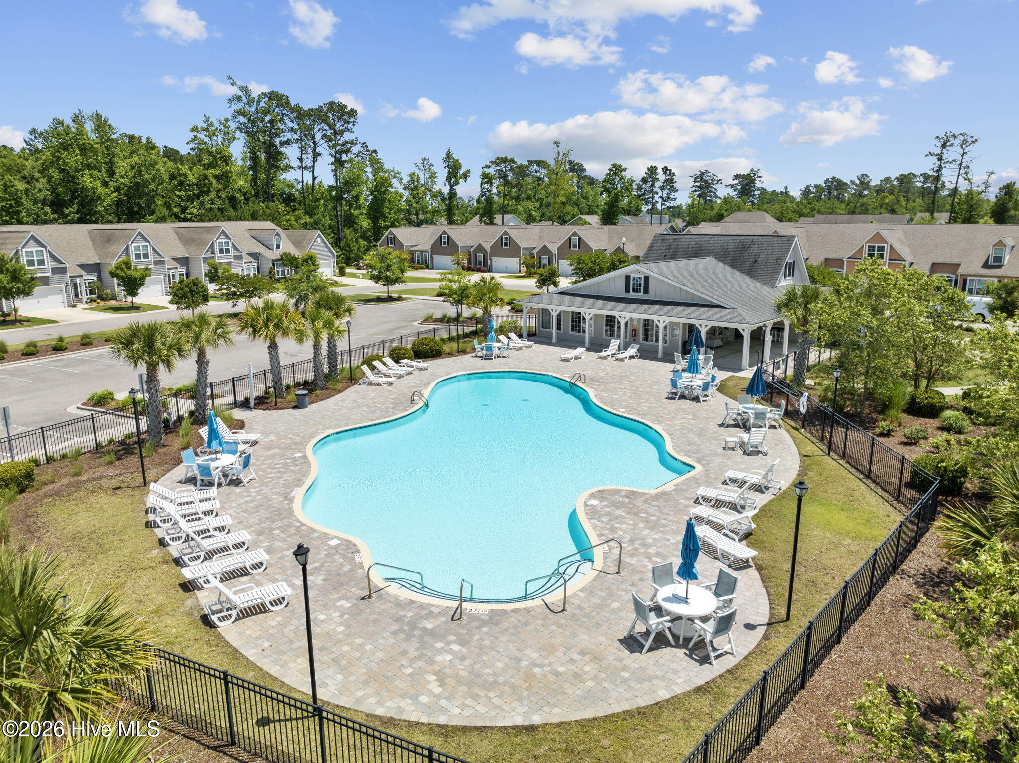 100554363 | Photo 51