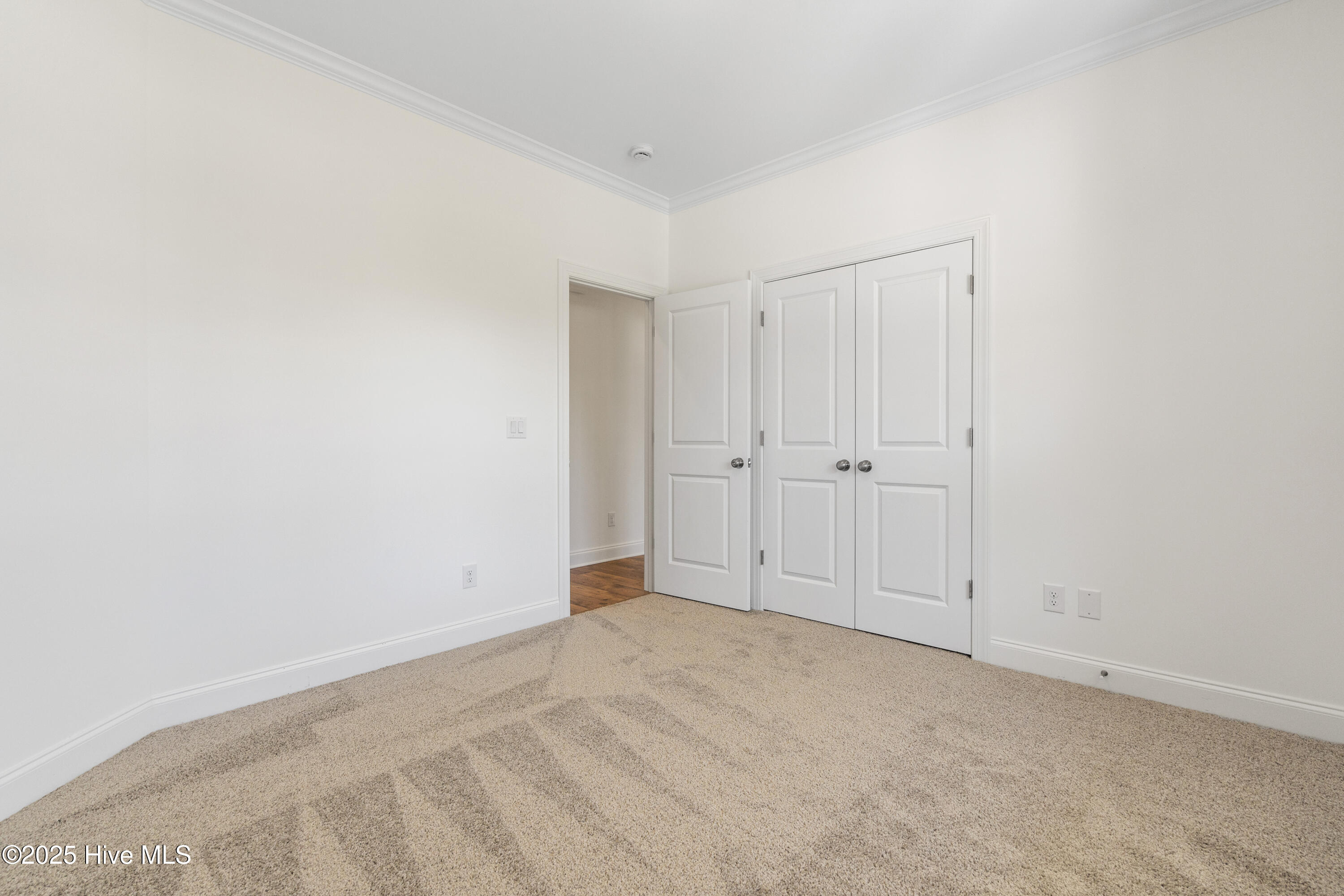 100515288 | Photo 22