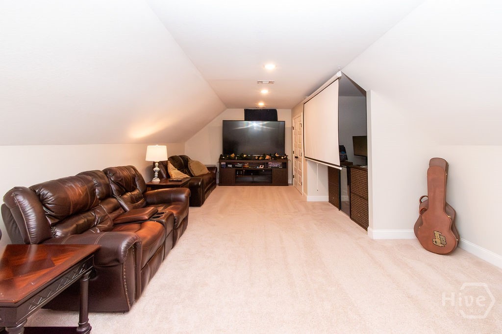 Theater/Family Room