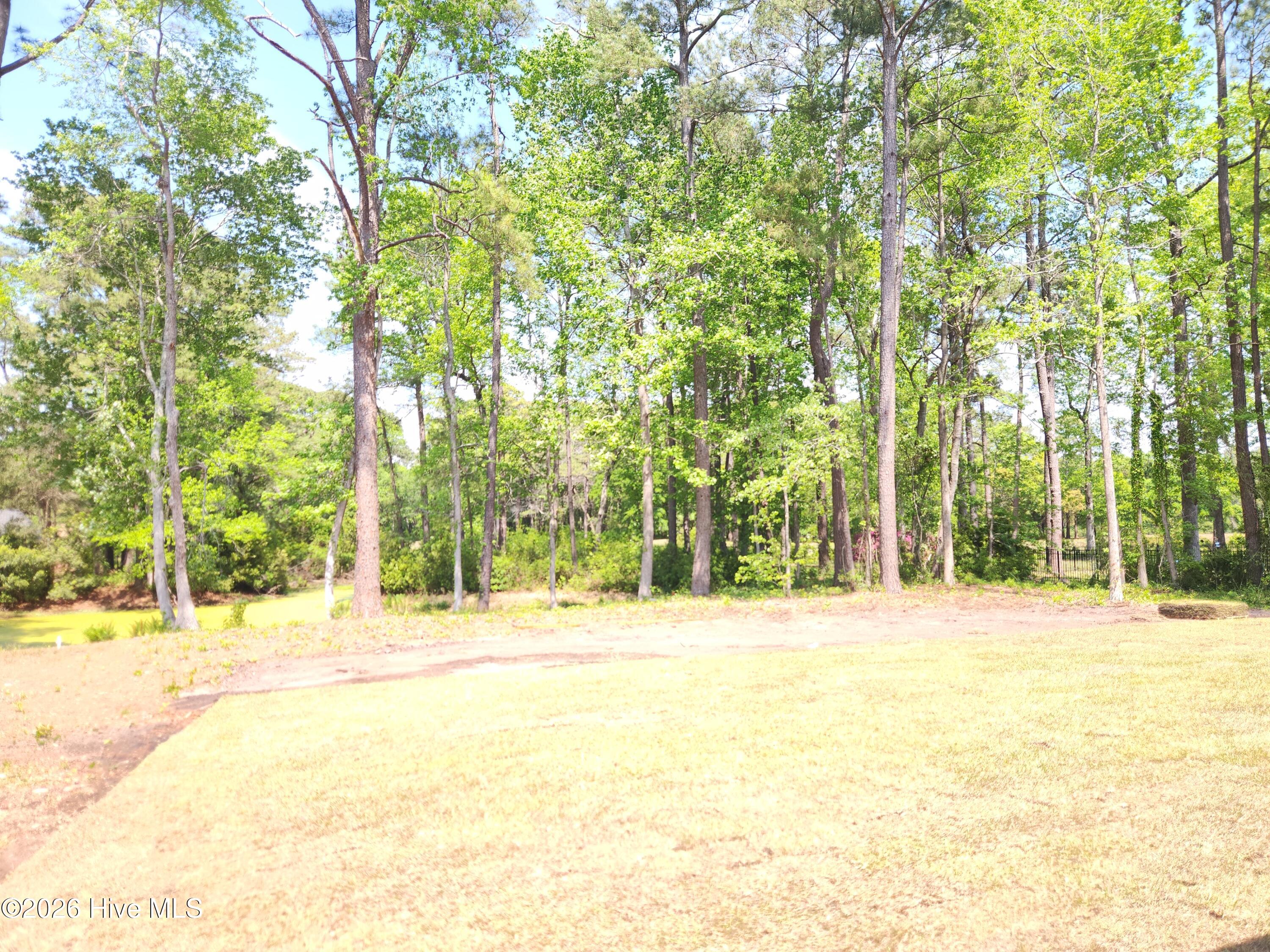 100567730 | Photo 44