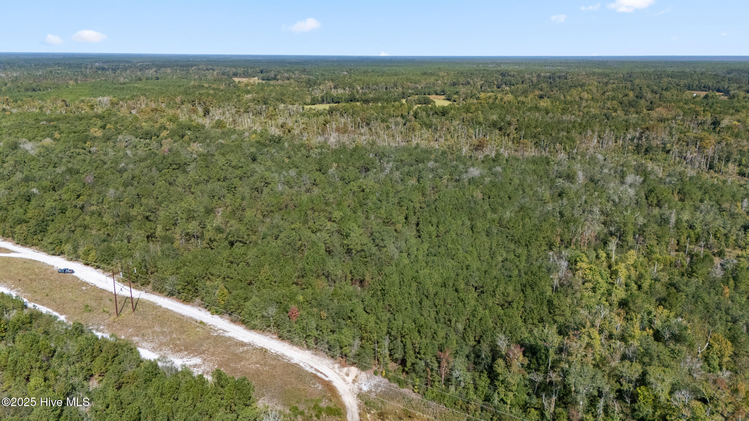 100536371 | Photo 18