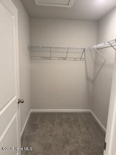 100565912 | Photo 20