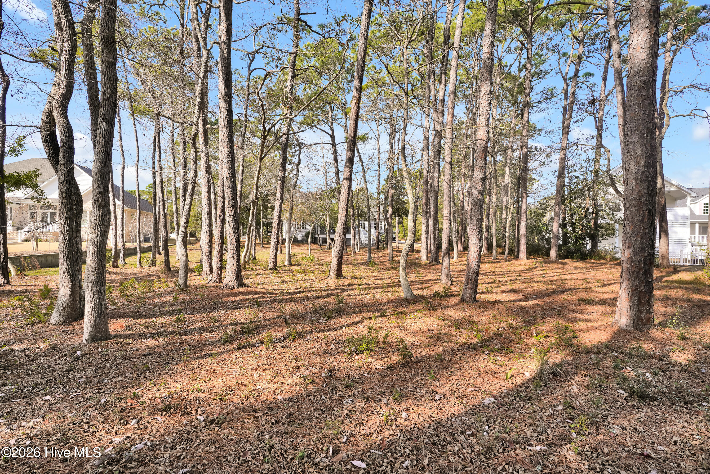 100549452 | Photo 42