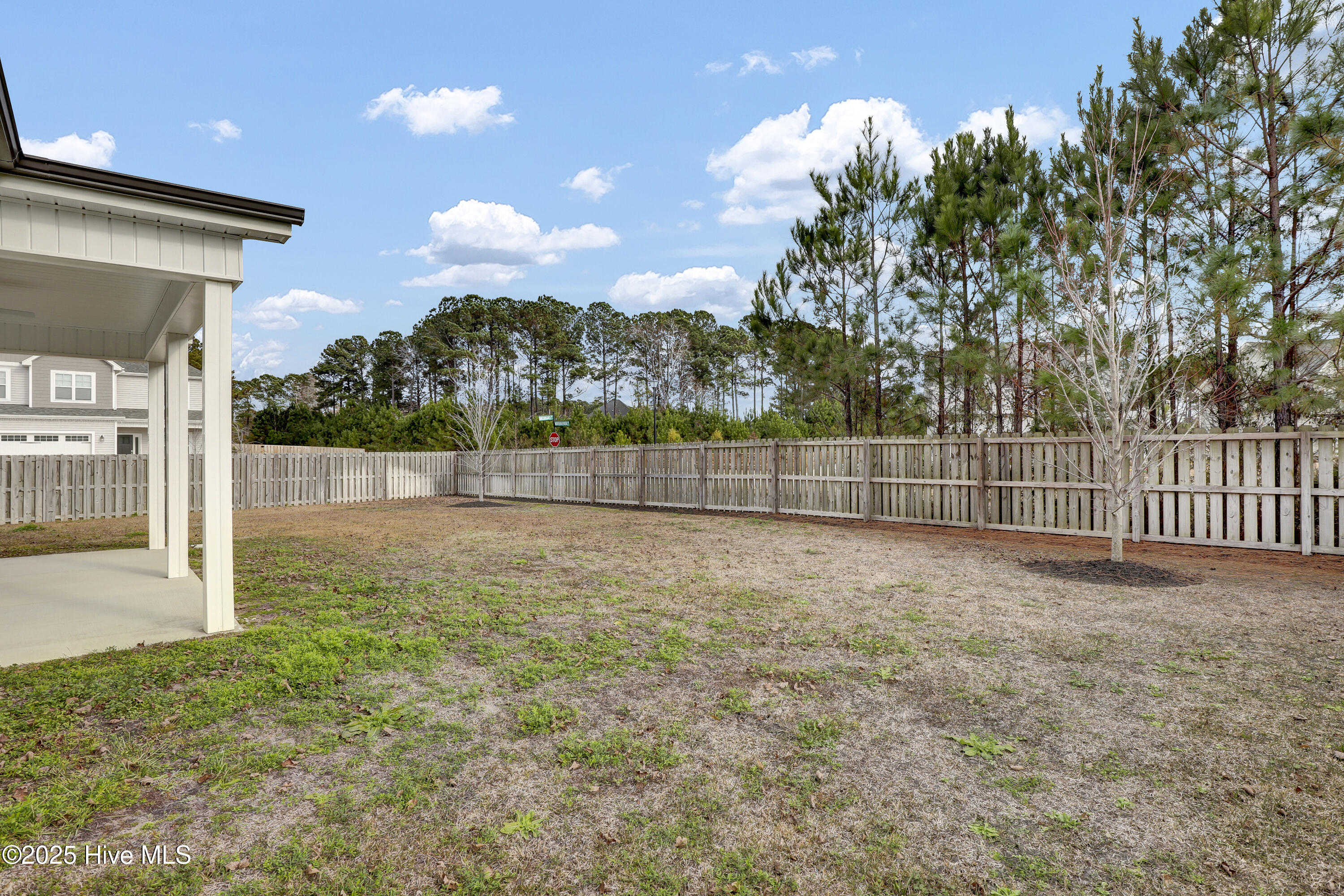 100545755 | Photo 50