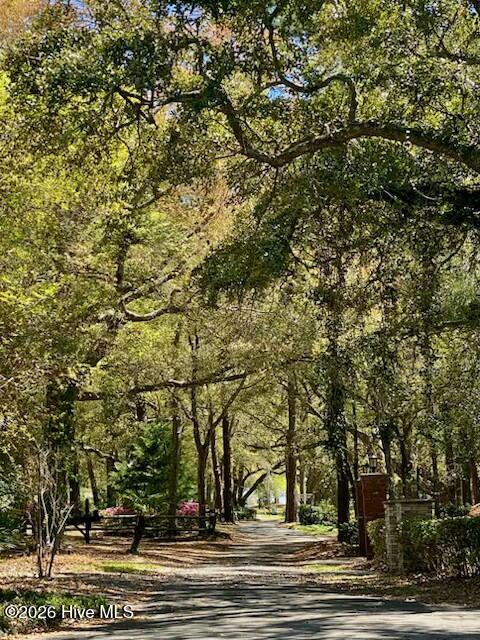 100558842 | Photo 14