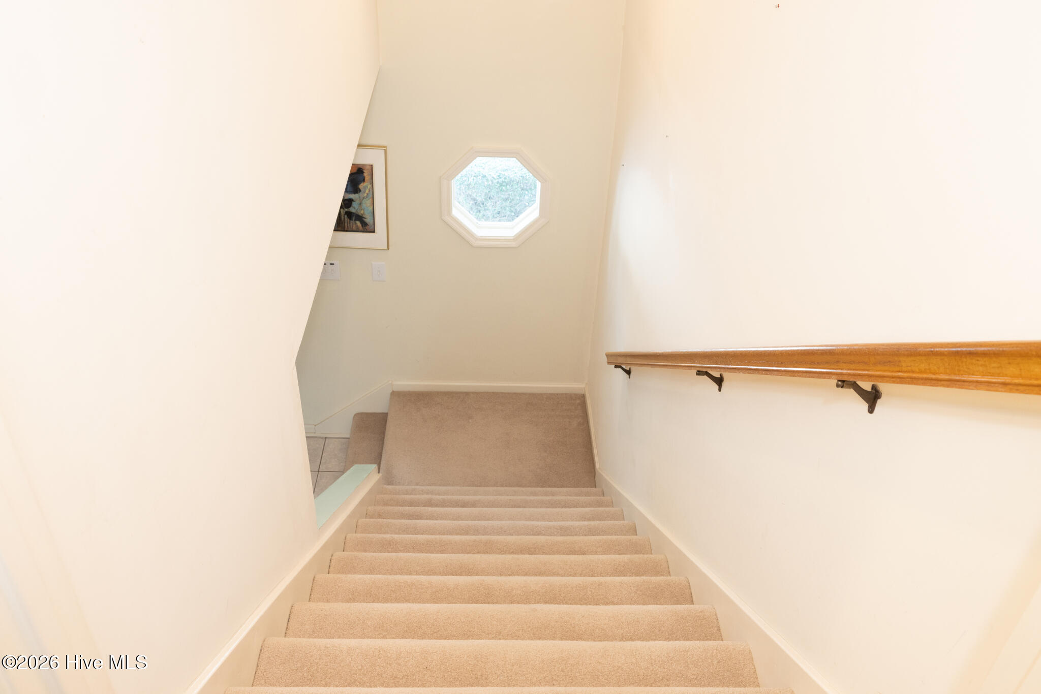 100547125 | Photo 29