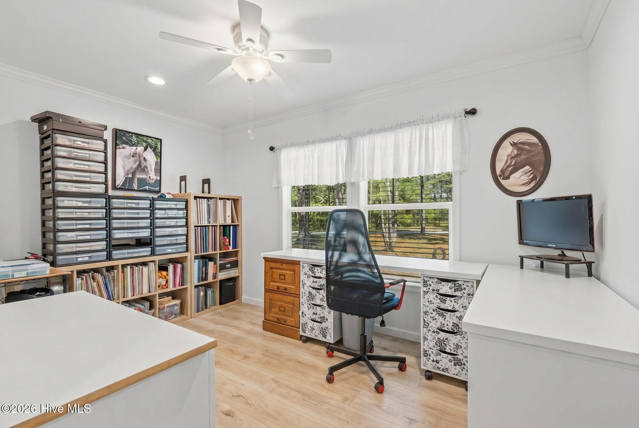 100567868 | Photo 21