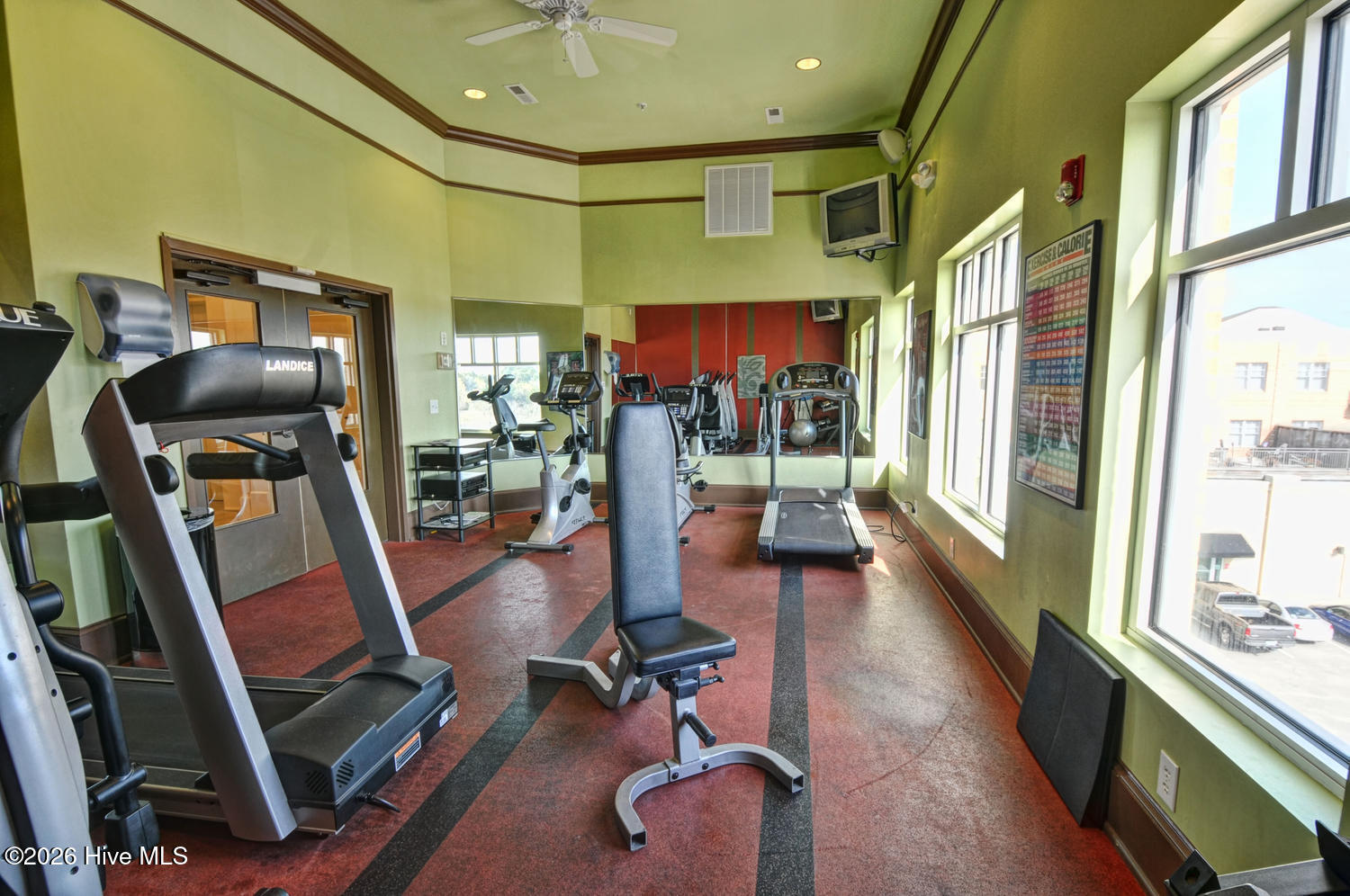 100558584 | Photo 33