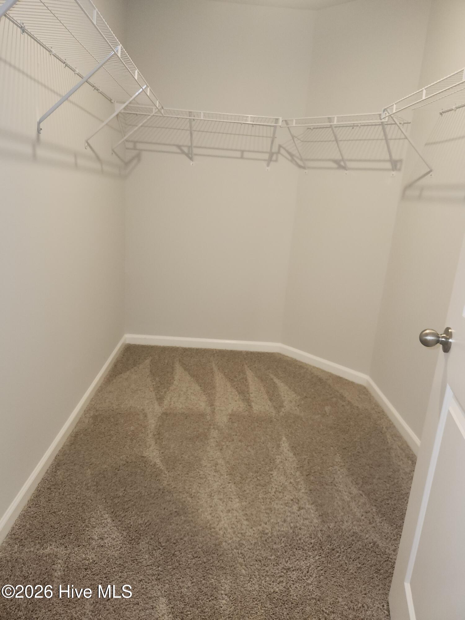 100564260 | Photo 17