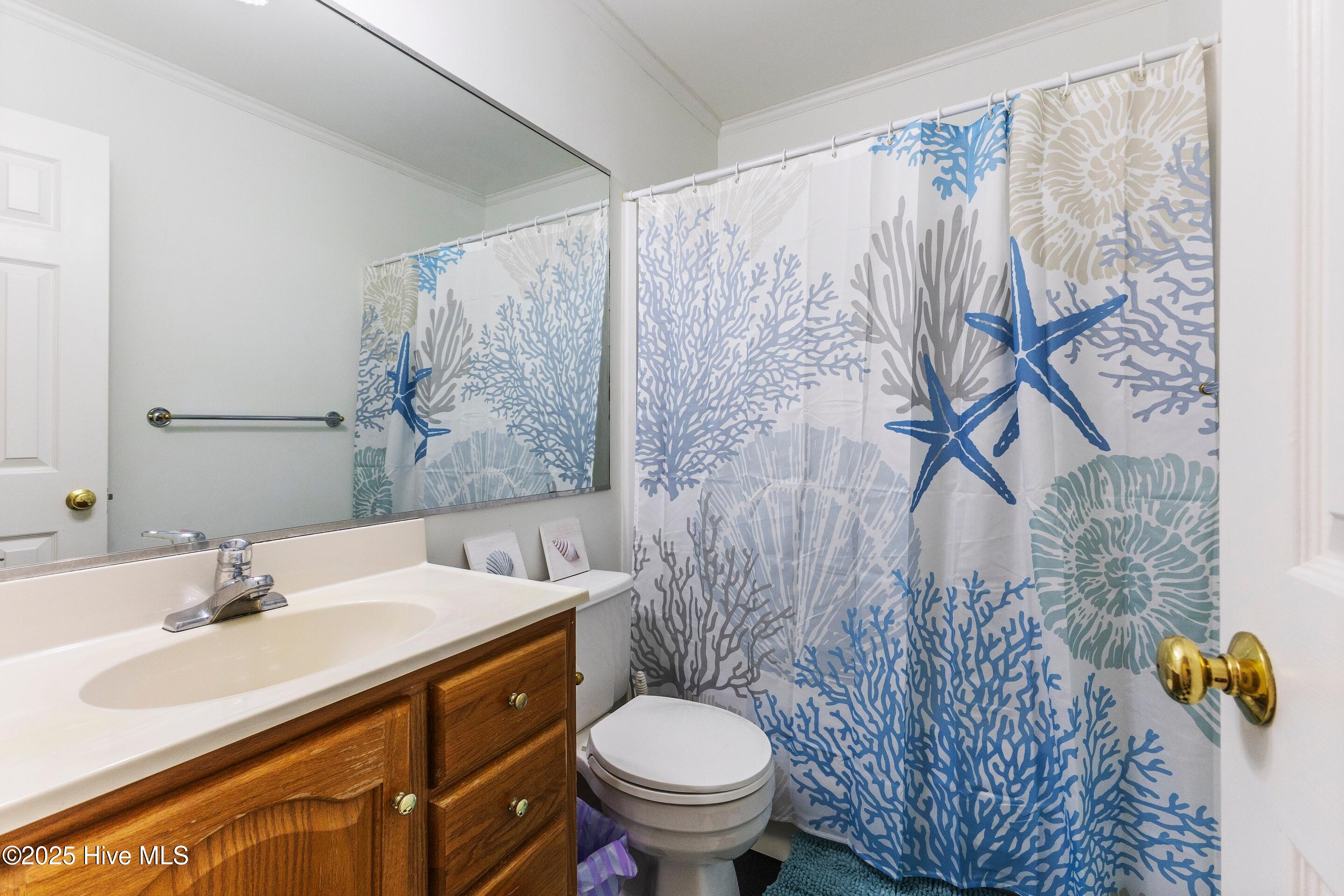 100535531 | Photo 33