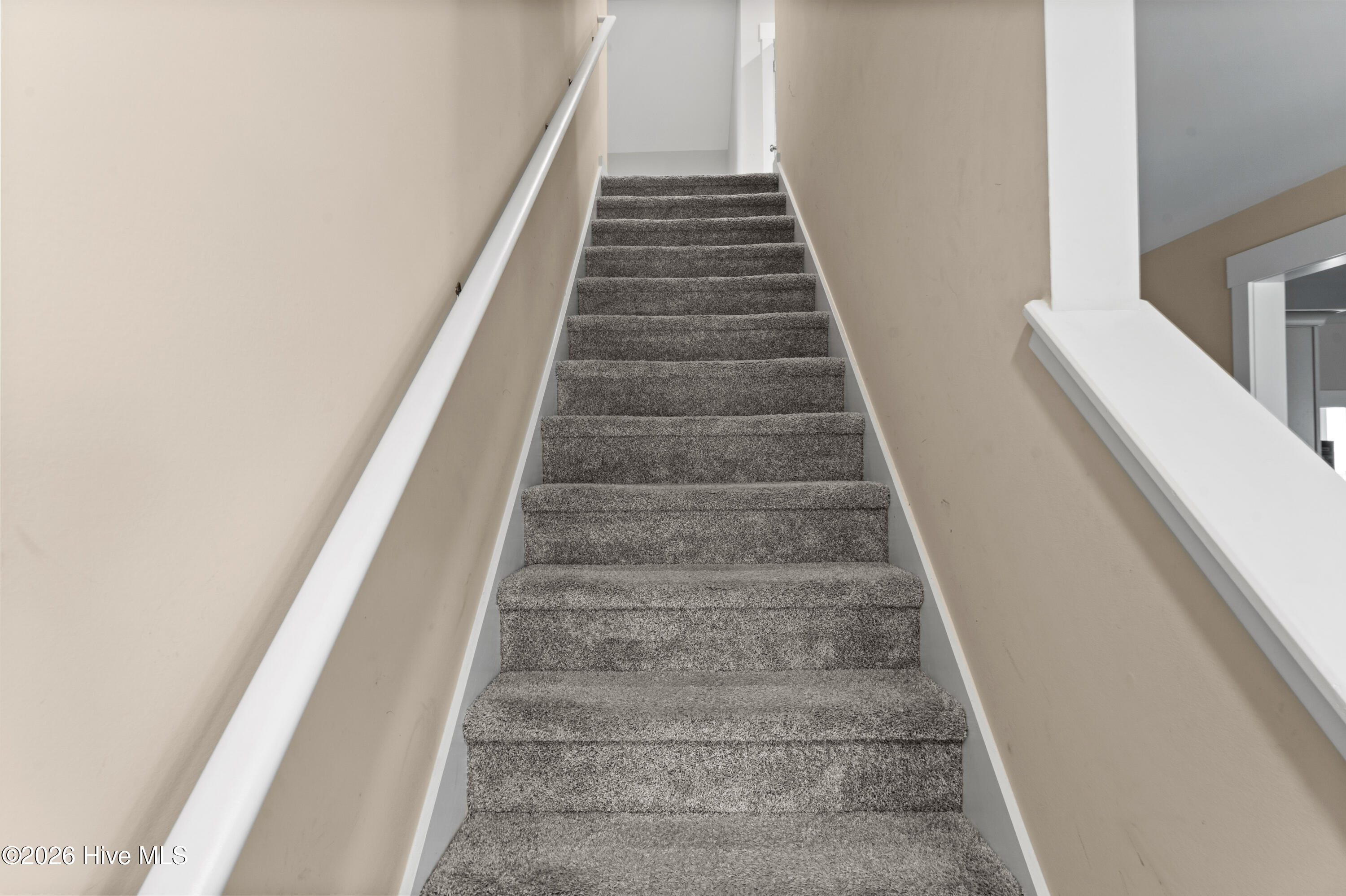 100569273 | Photo 29