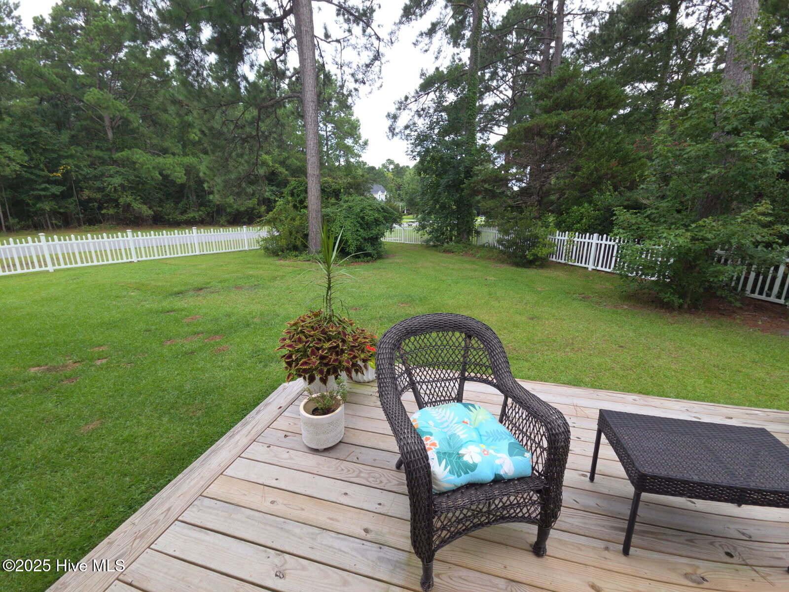 100513900 | Photo 55