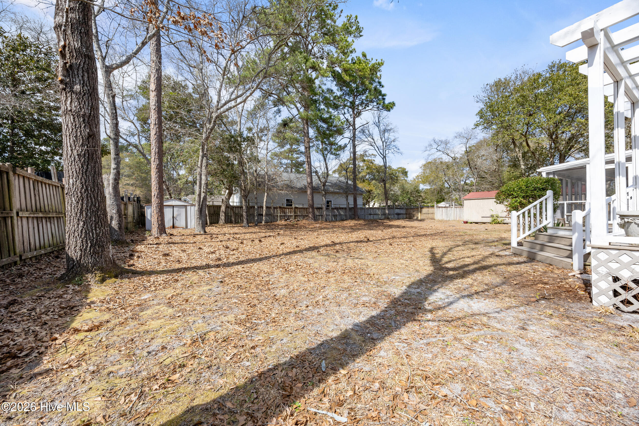 100558264 | Photo 51