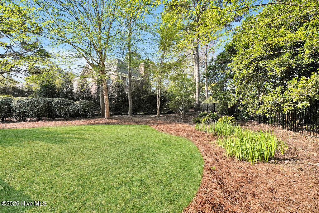 100565103 | Photo 49