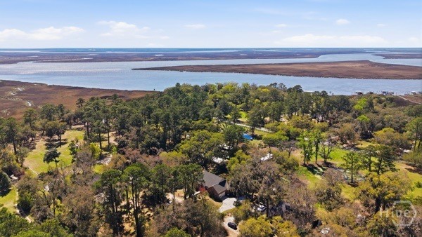 10 Old Barn Road, Savannah, GA 31419 Listing Photo  36
