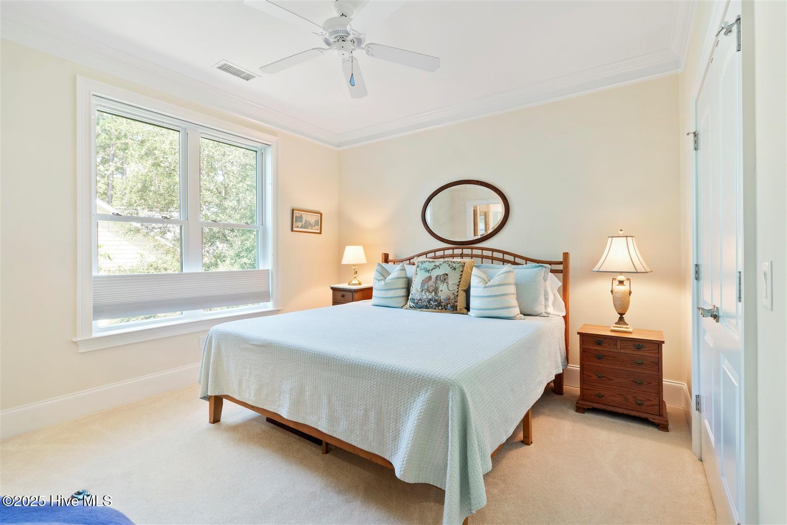 100518615 | Photo 57