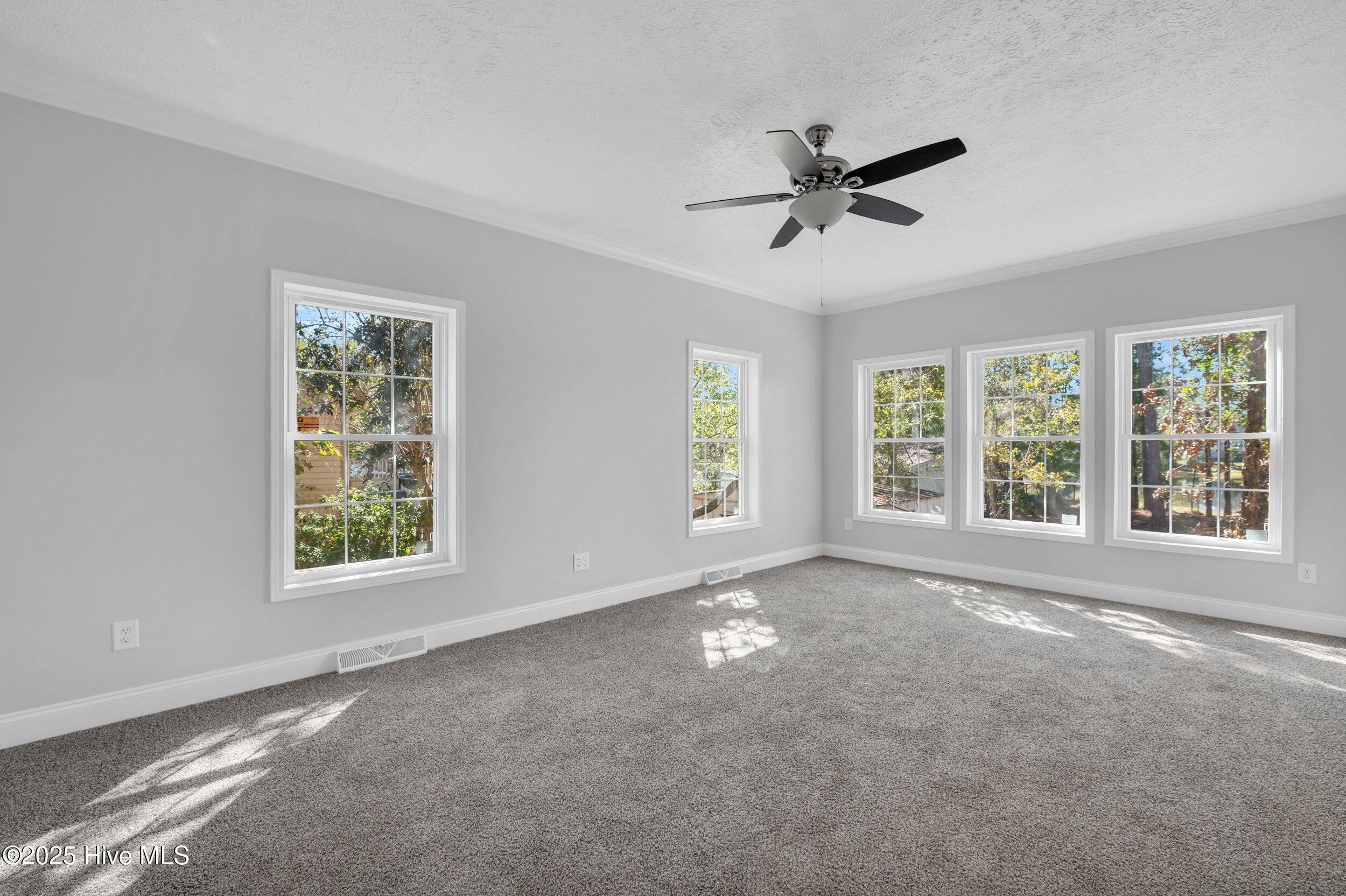 100537986 | Photo 10