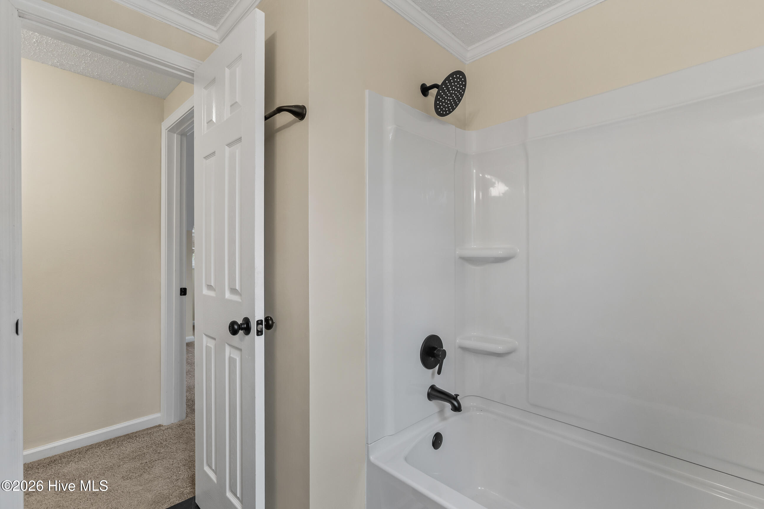 100558512 | Photo 34