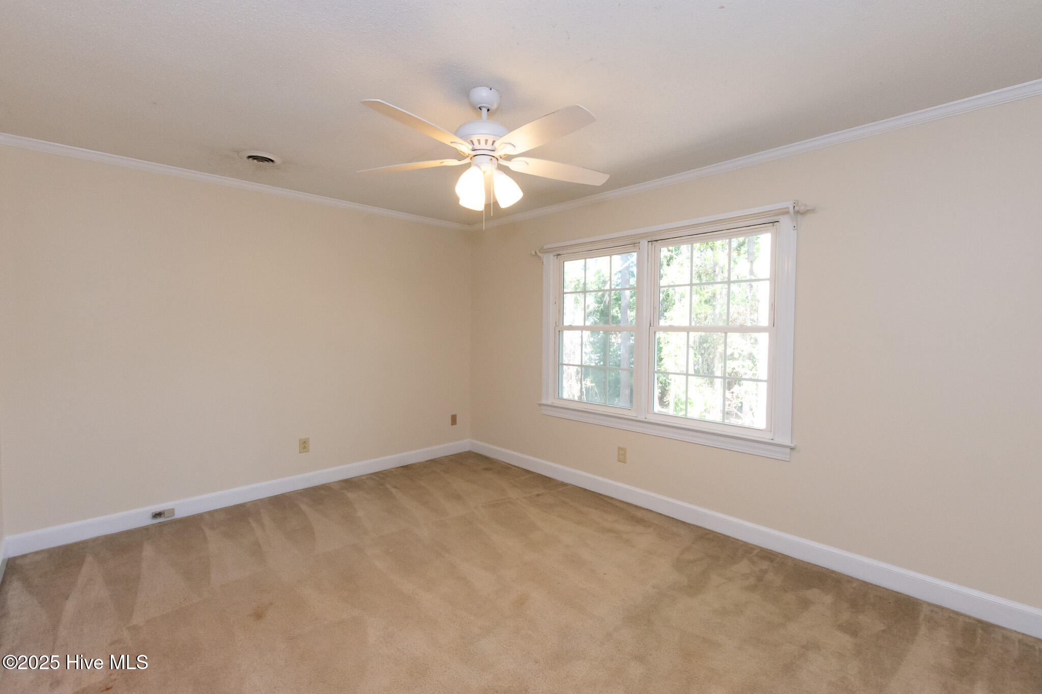 100506266 | Photo 52