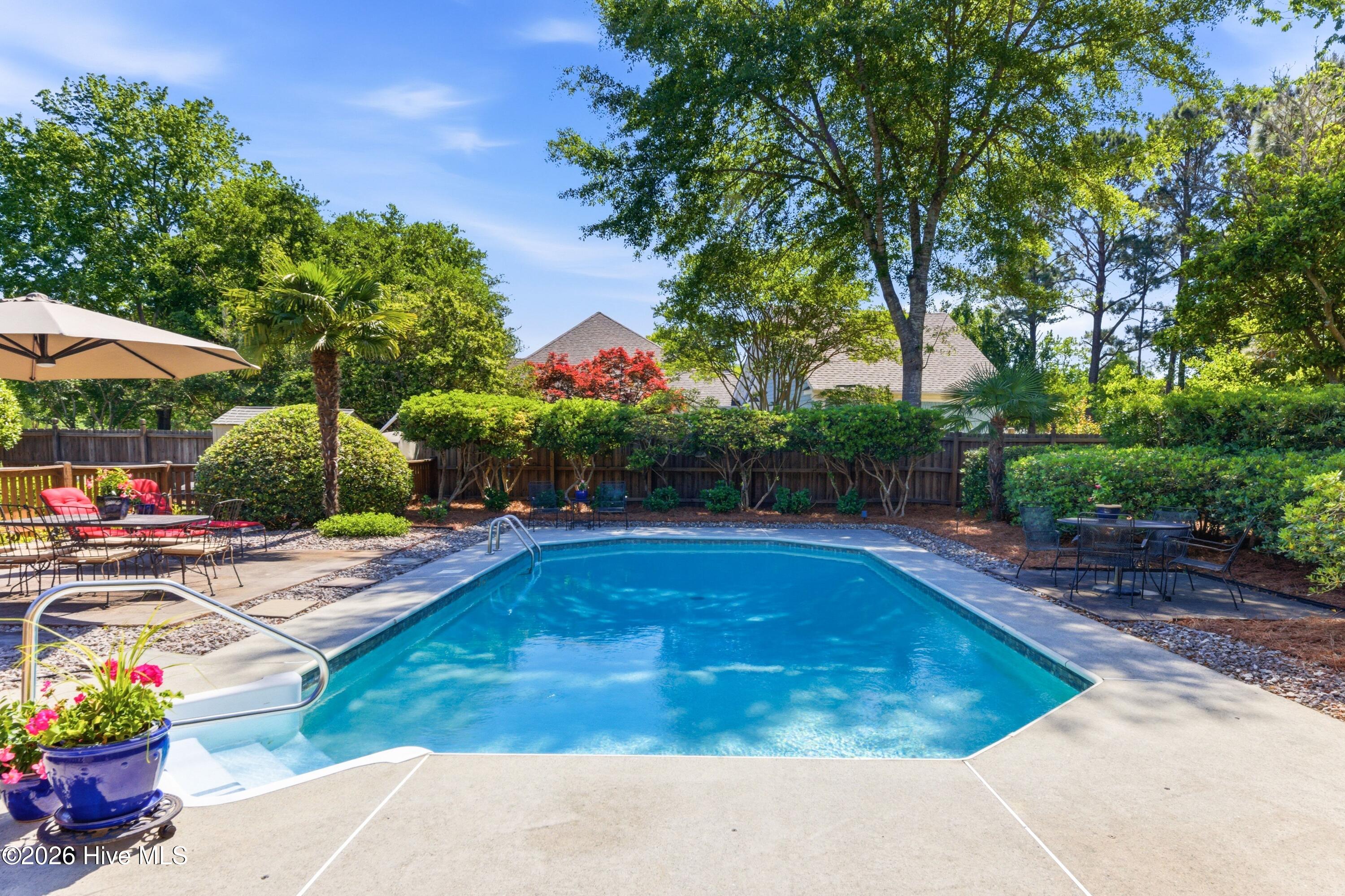 100568689 | Photo 23