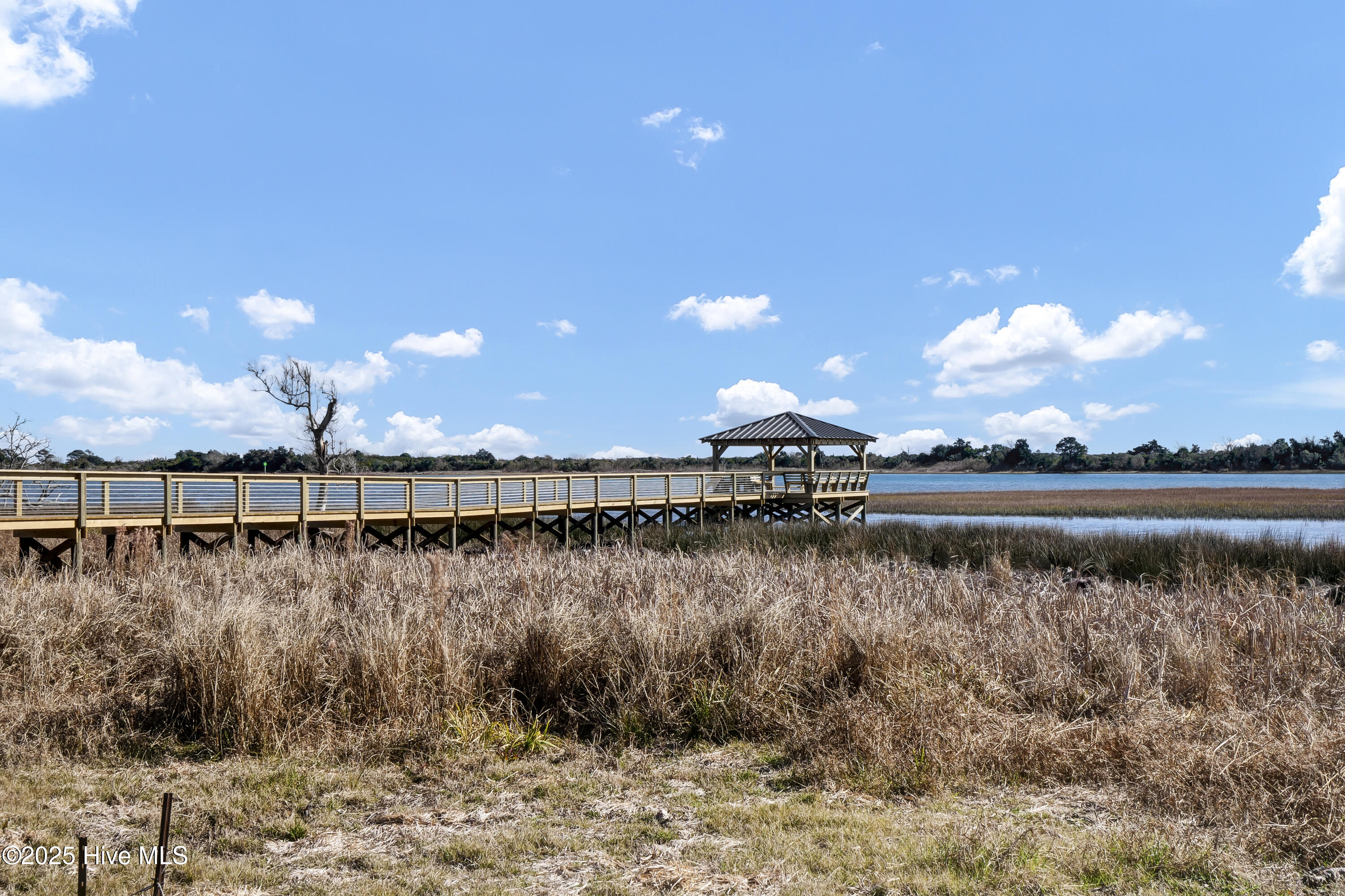 100518189 | Photo 33