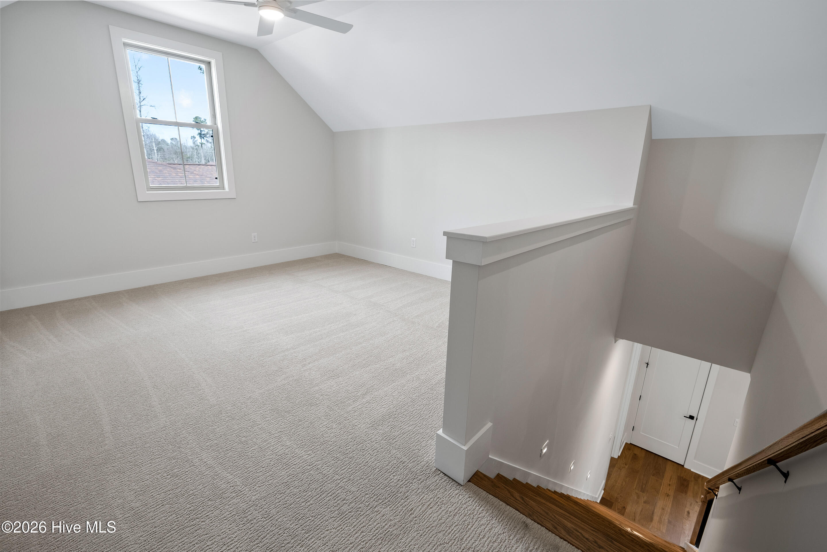 100552091 | Photo 31