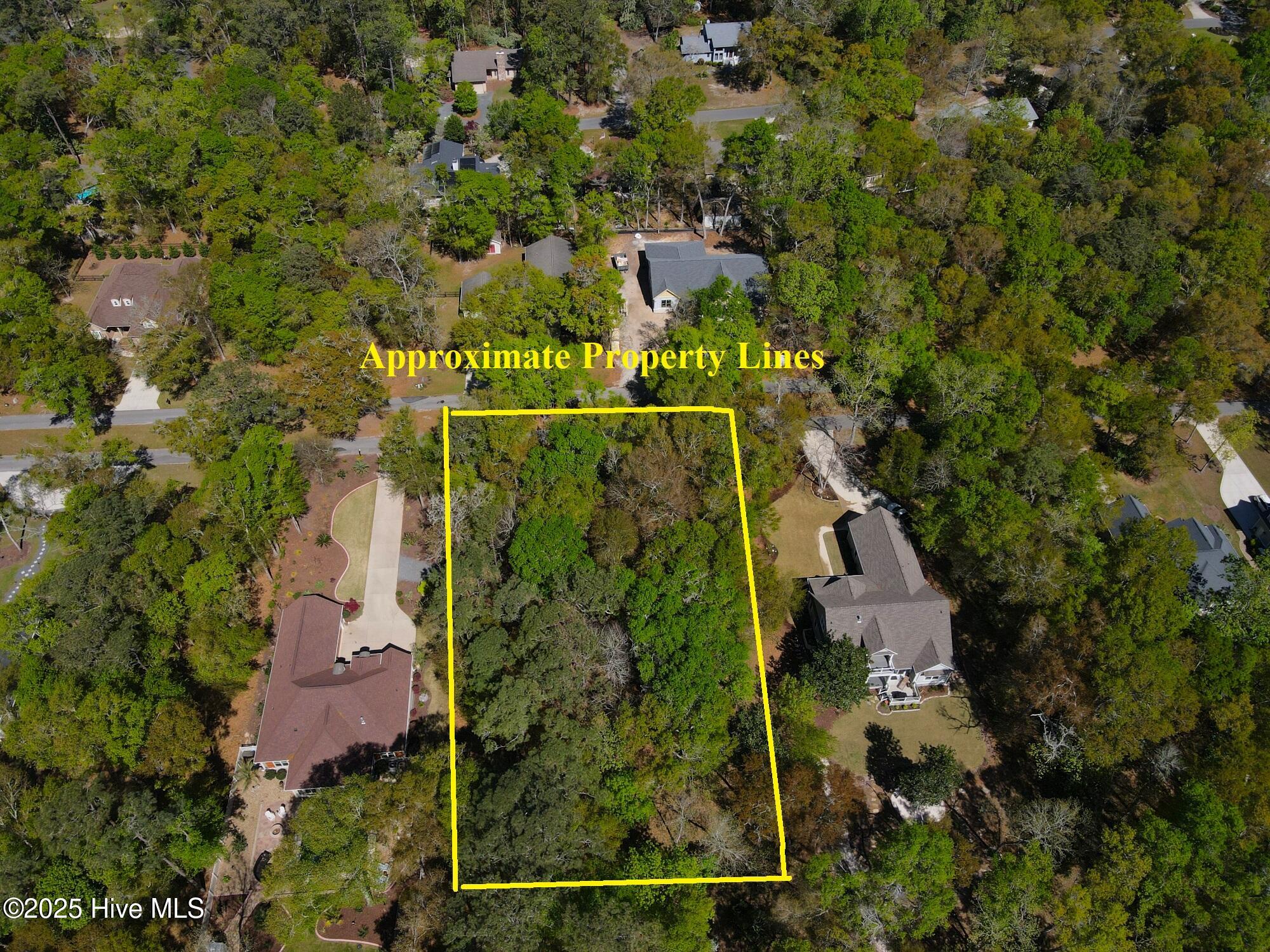 100511879 | Photo 12