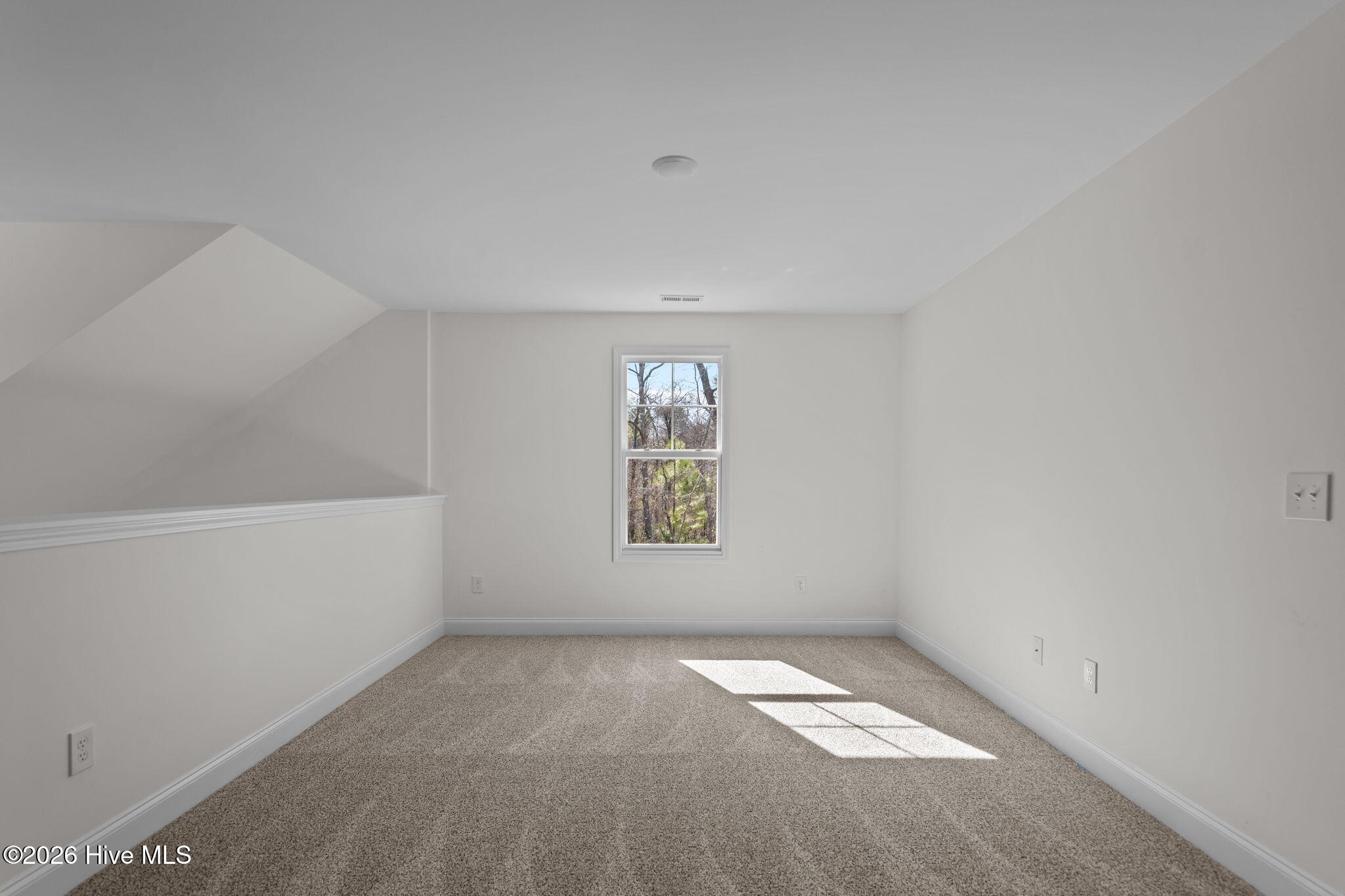 100528702 | Photo 32