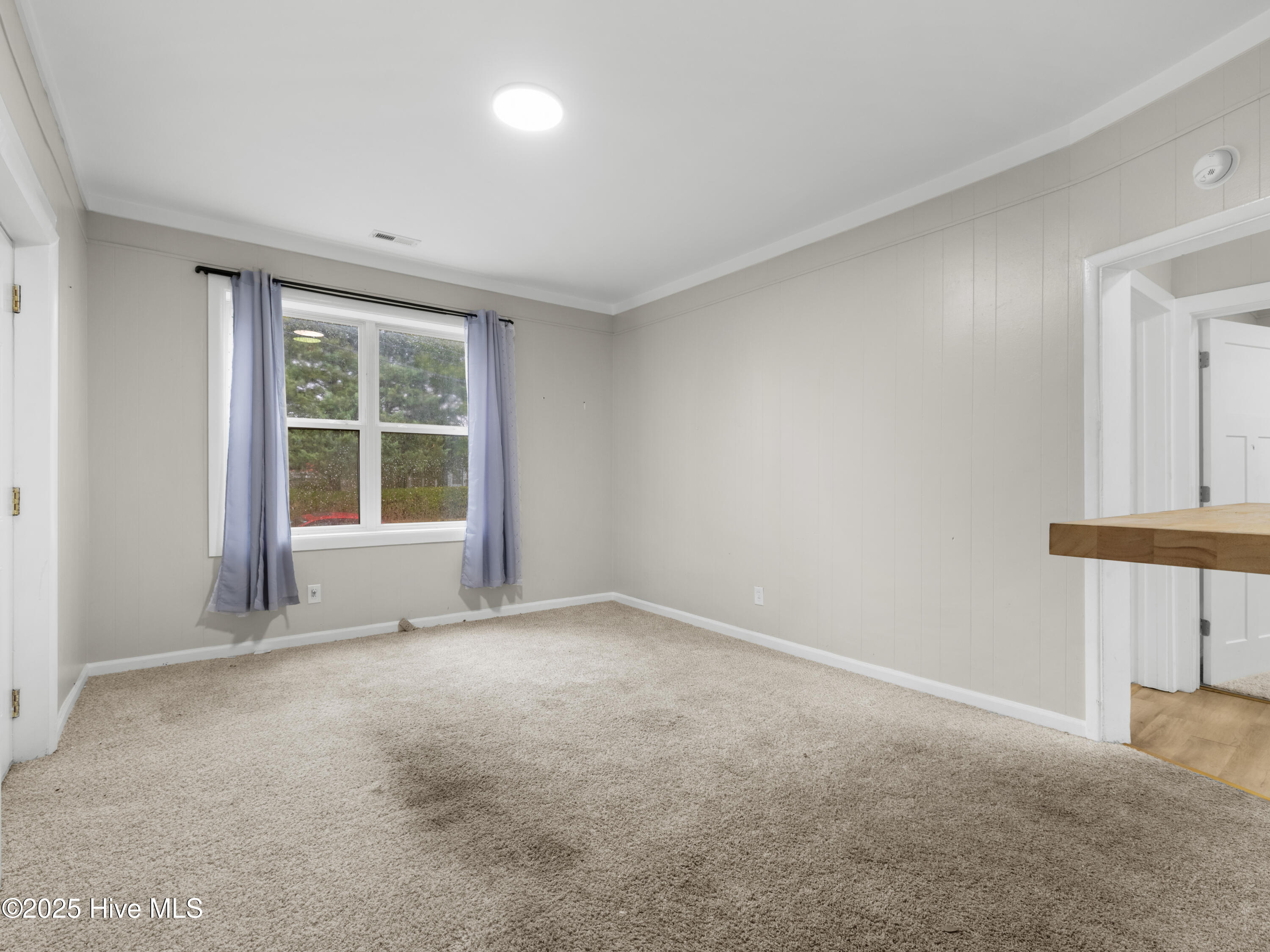 100544589 | Photo 14