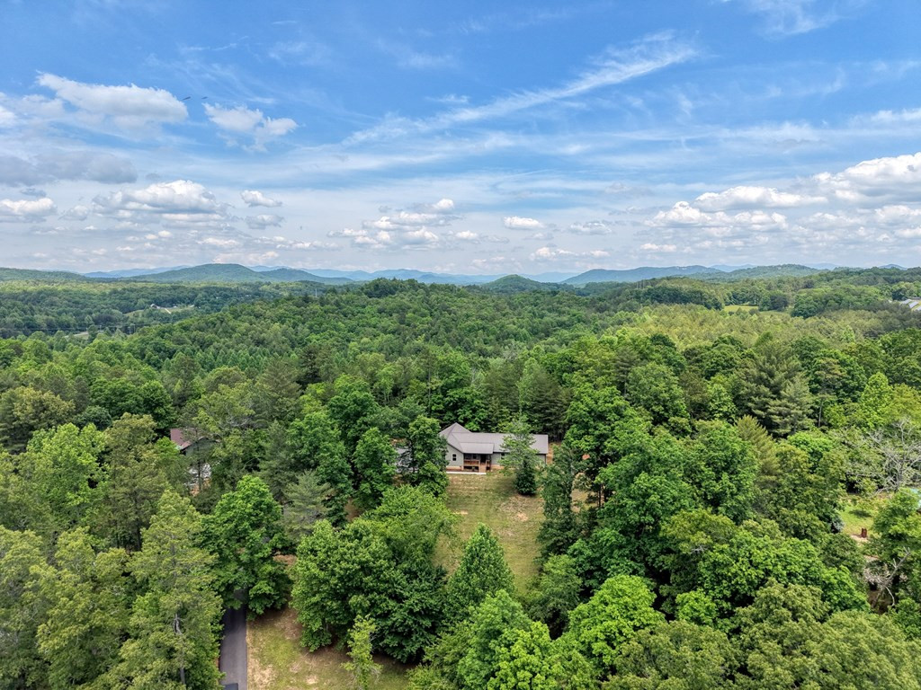 290 Butterball Boulevard, Murphy, NC 28906 Listing Photo  3