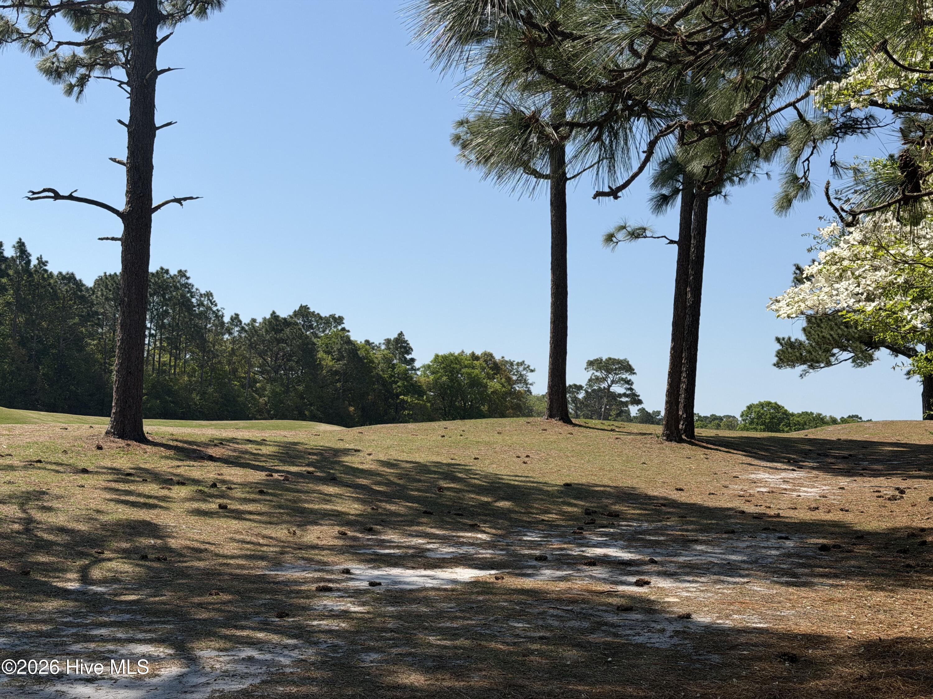 100568393 | Photo 66