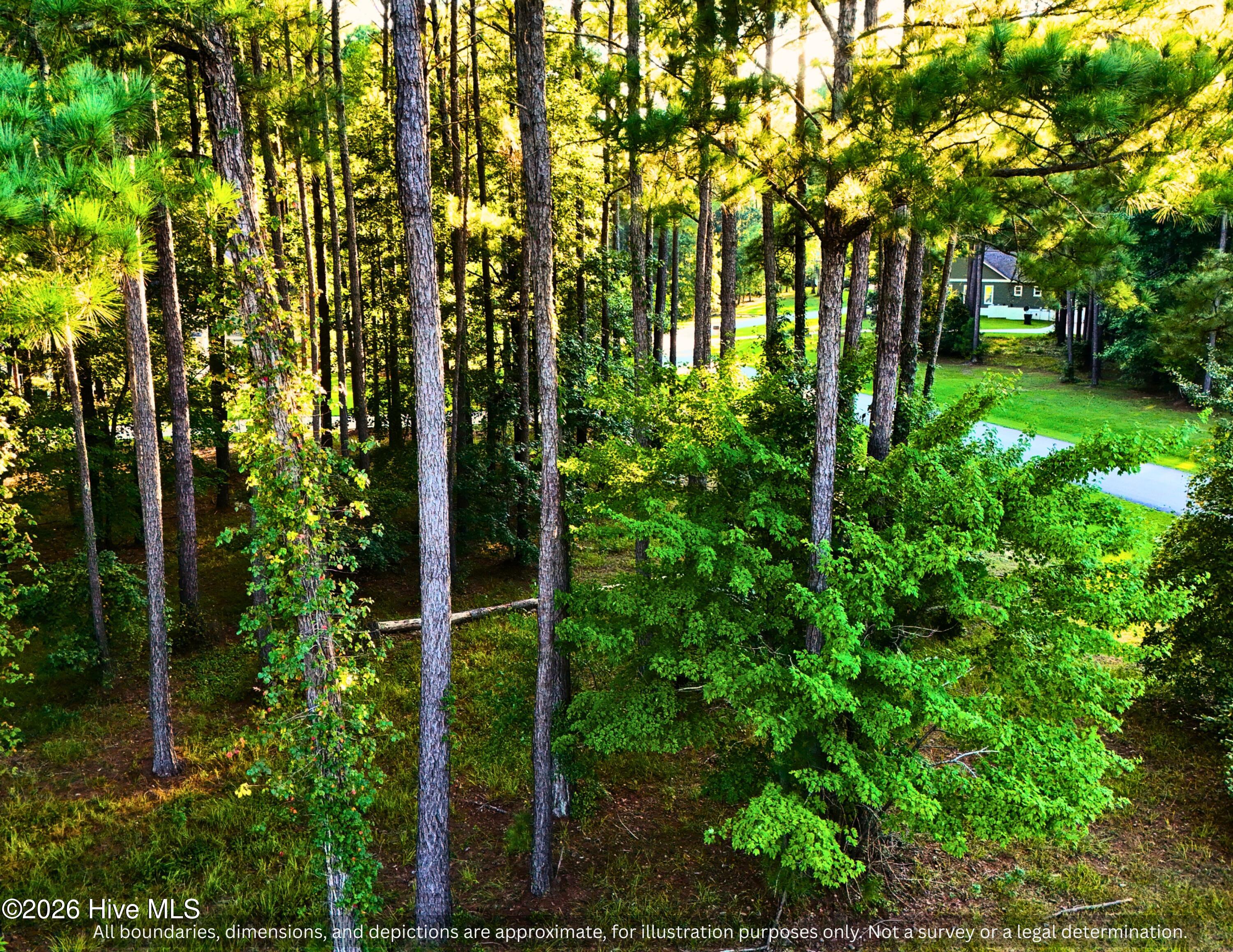 0000-0000 LOT 83 Mill Creek Drive,Minnesott Beach