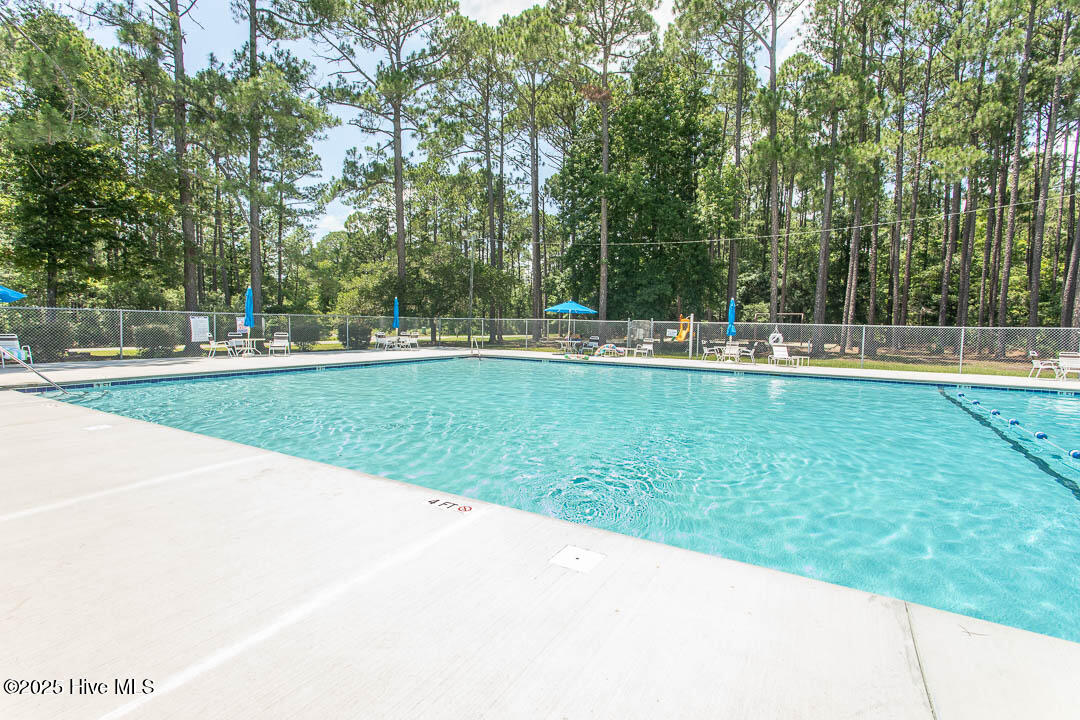 100541547 | Photo 49