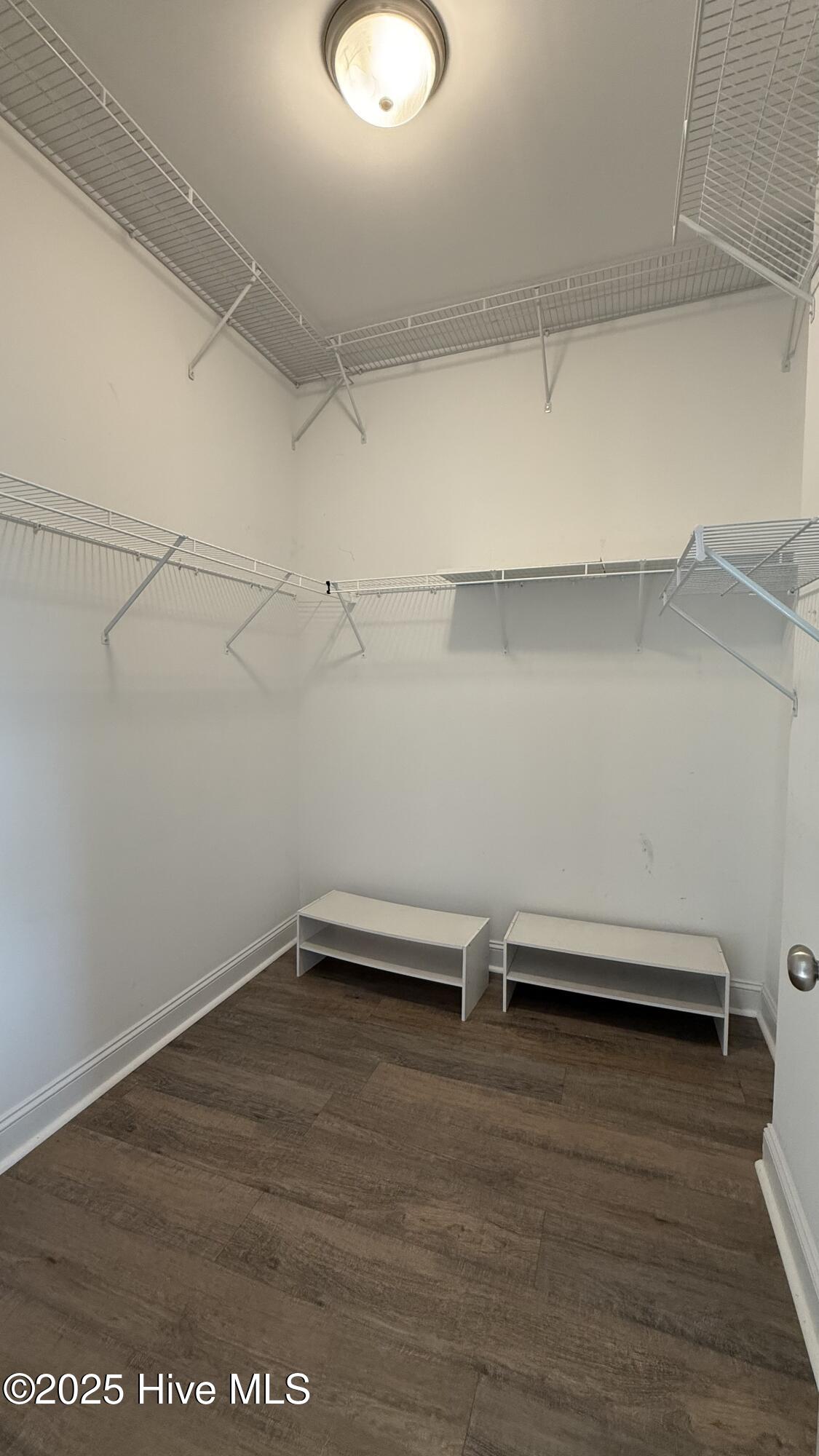 100538619 | Photo 20