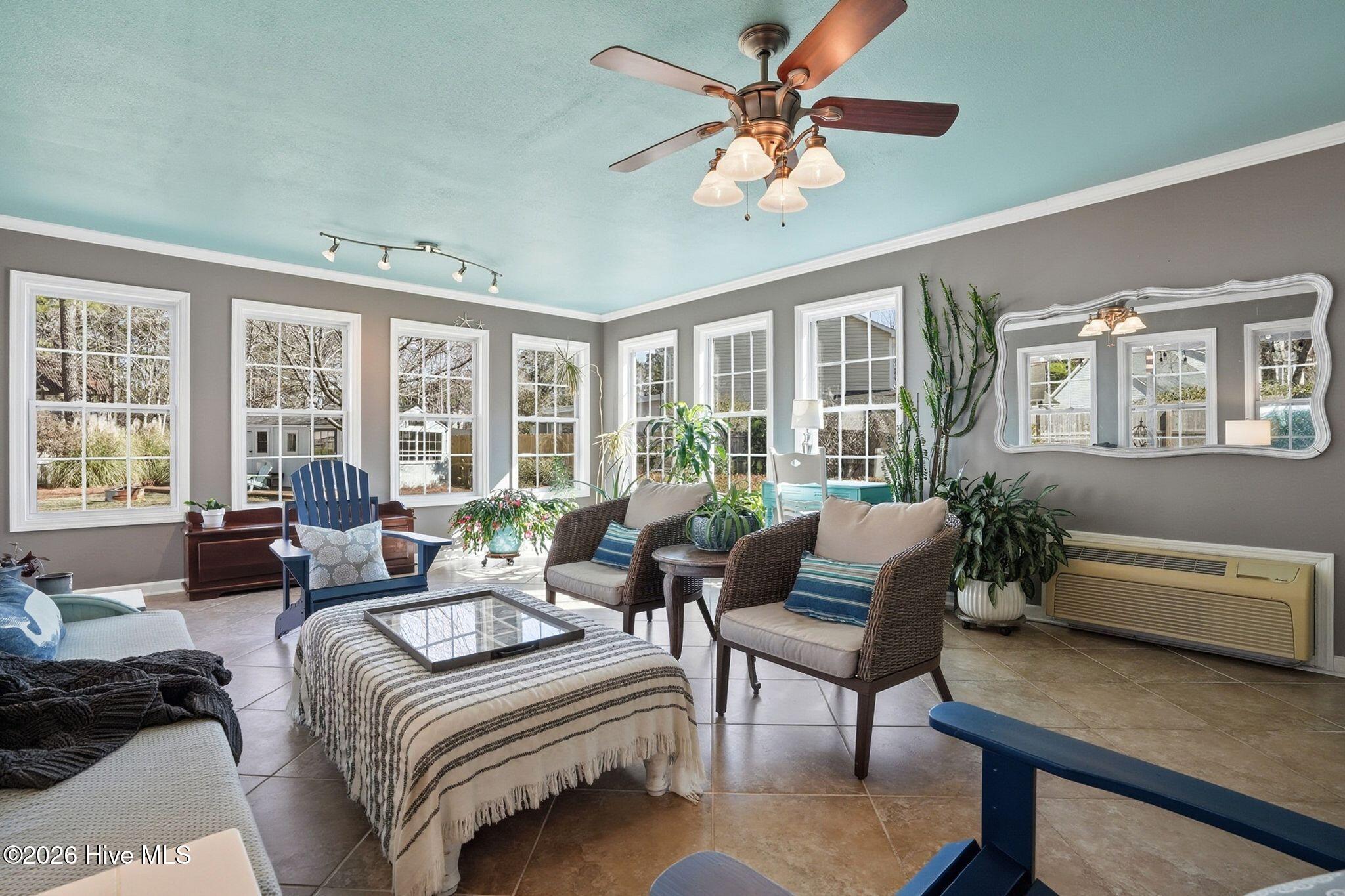 100557423 | Photo 58