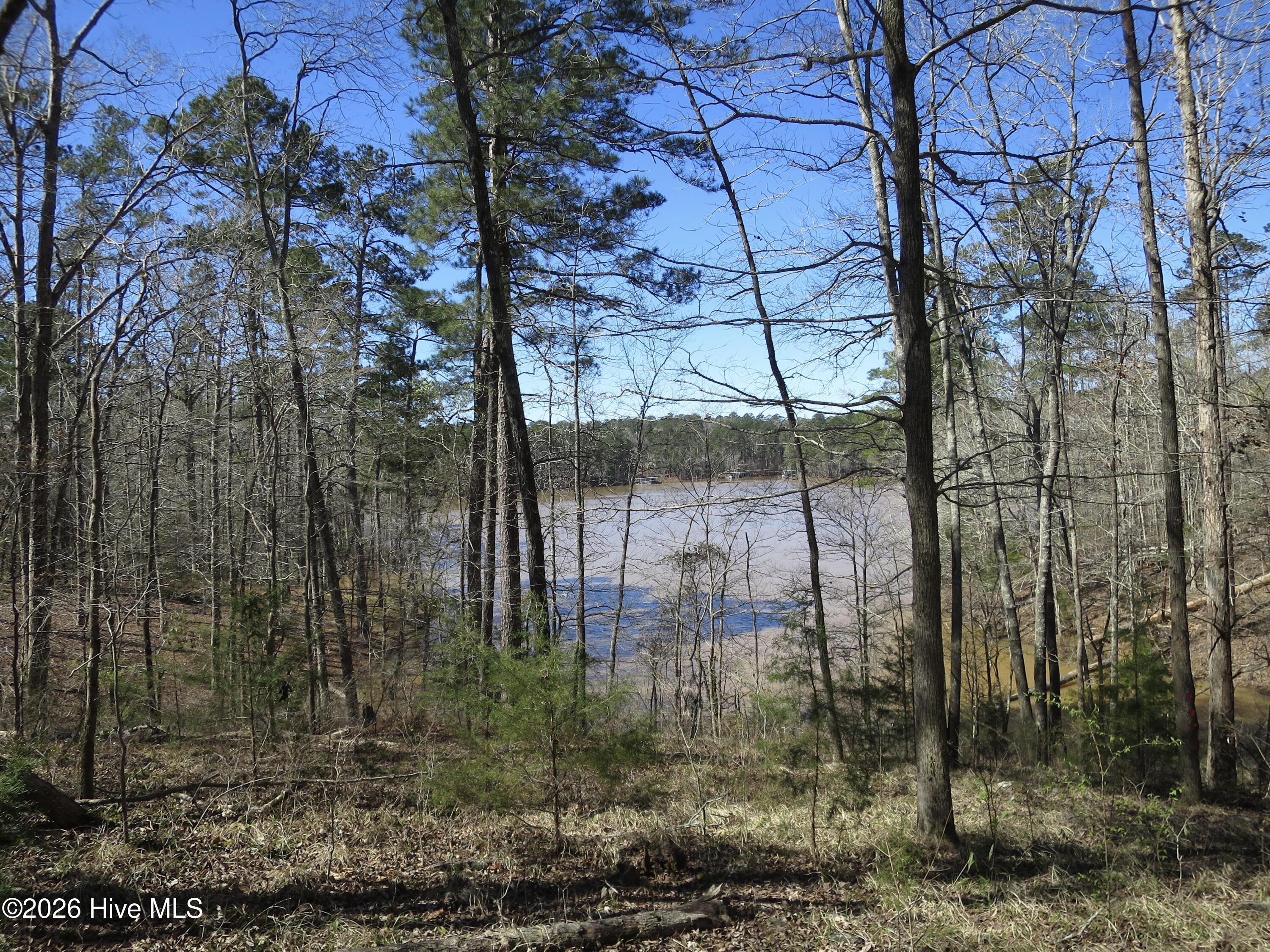 3rd image of 205 Rolland Pl, Mc Cormick, SC 29835 | MLS# 100595549