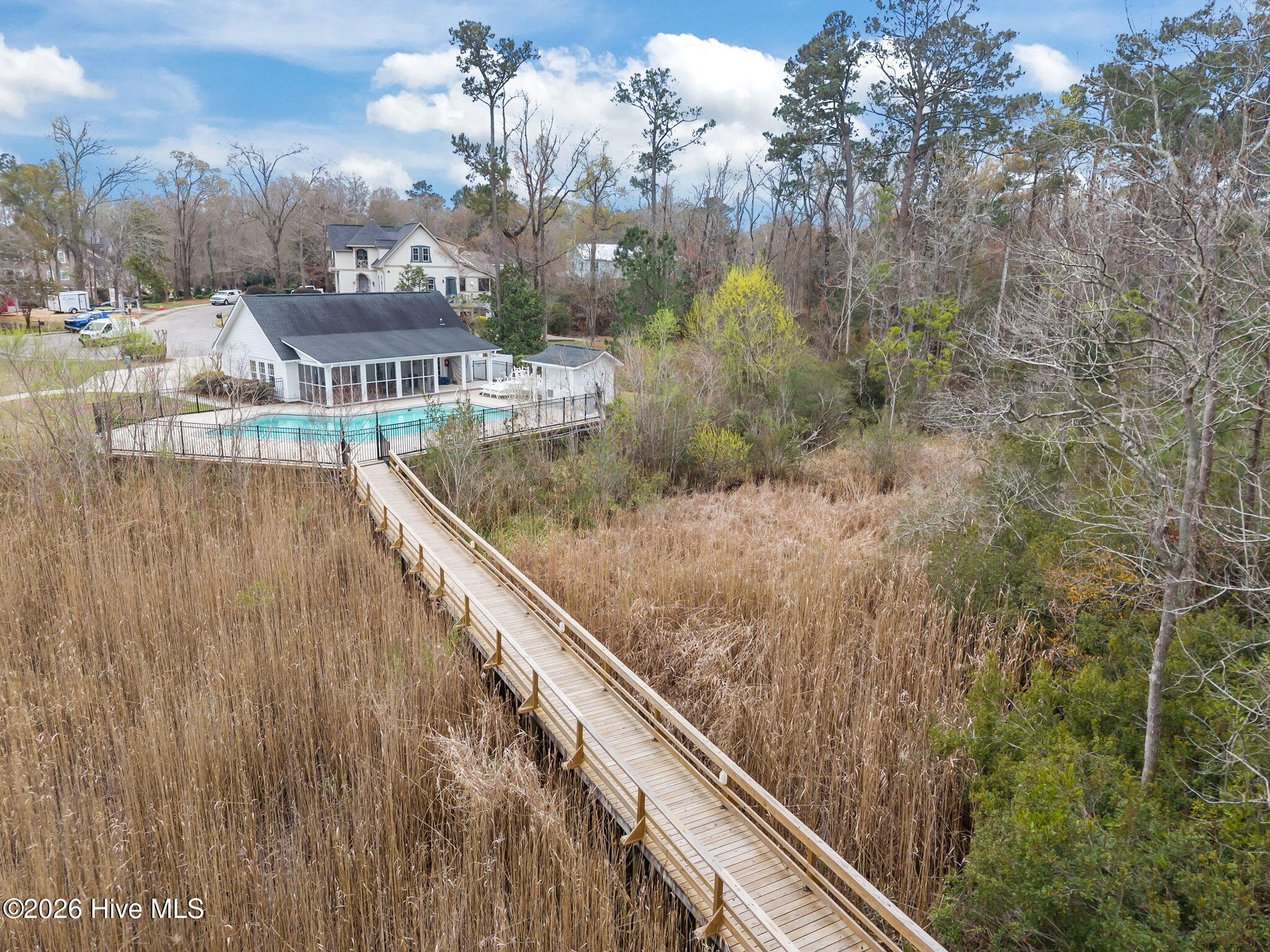 100558243 | Photo 64