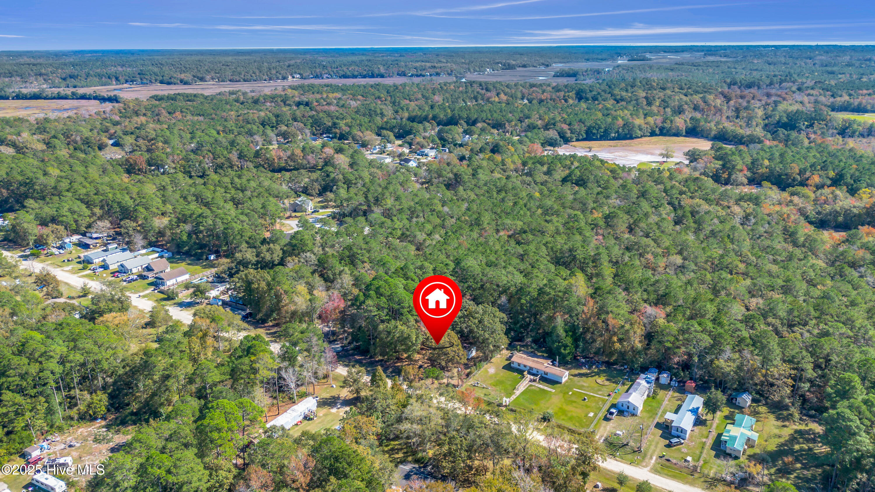 100539663 | Photo 43